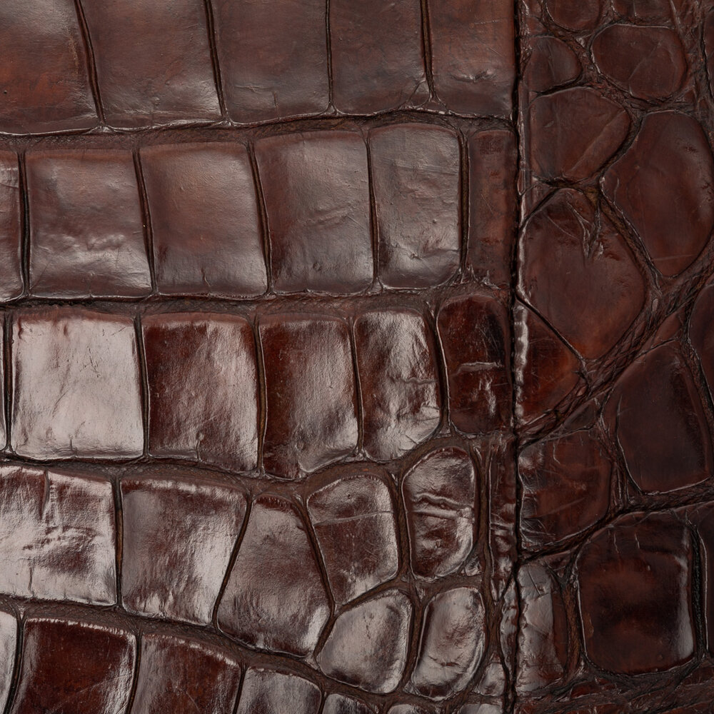 20thC Crocodile Leather Childs Traveling Trunk c.1910 — Dee Zammit