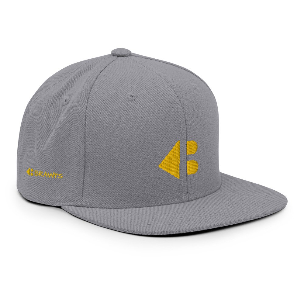 classic-snapback-silver-right-front-6231f8e6d3f10.jpg