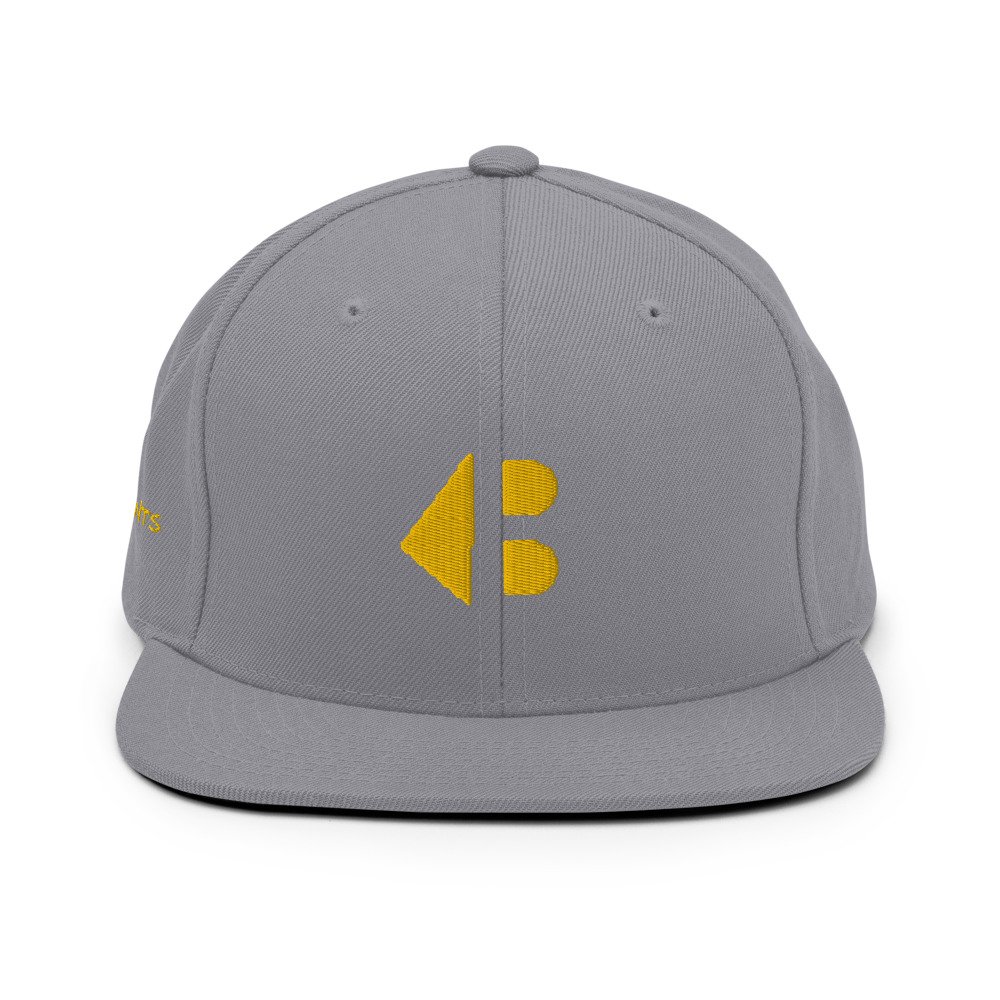 classic-snapback-silver-front-6231f8e6d45df.jpg
