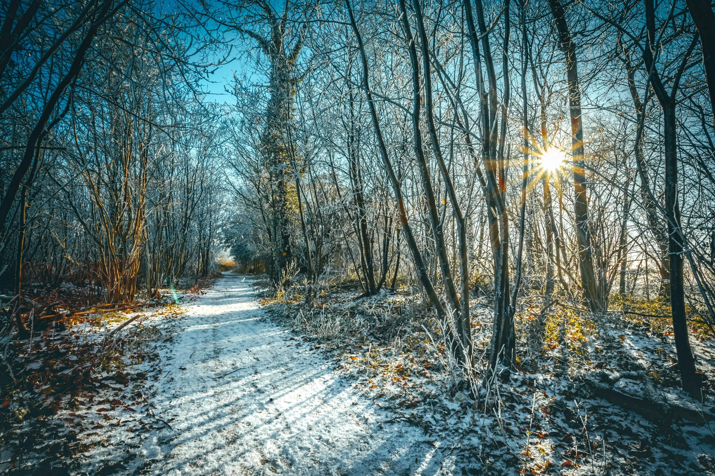The Importance of Separation Dates