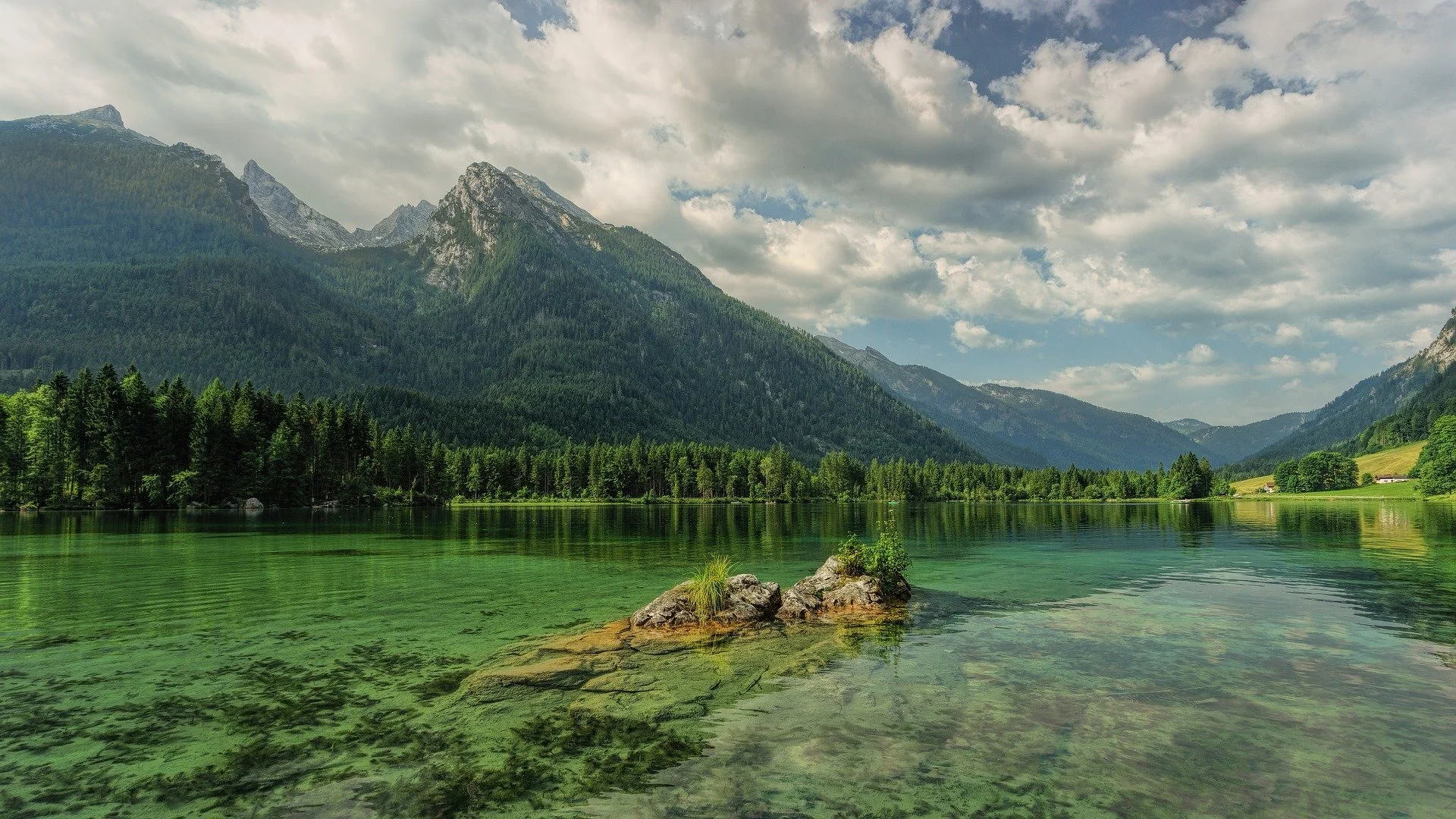 Alpine Environmental Services