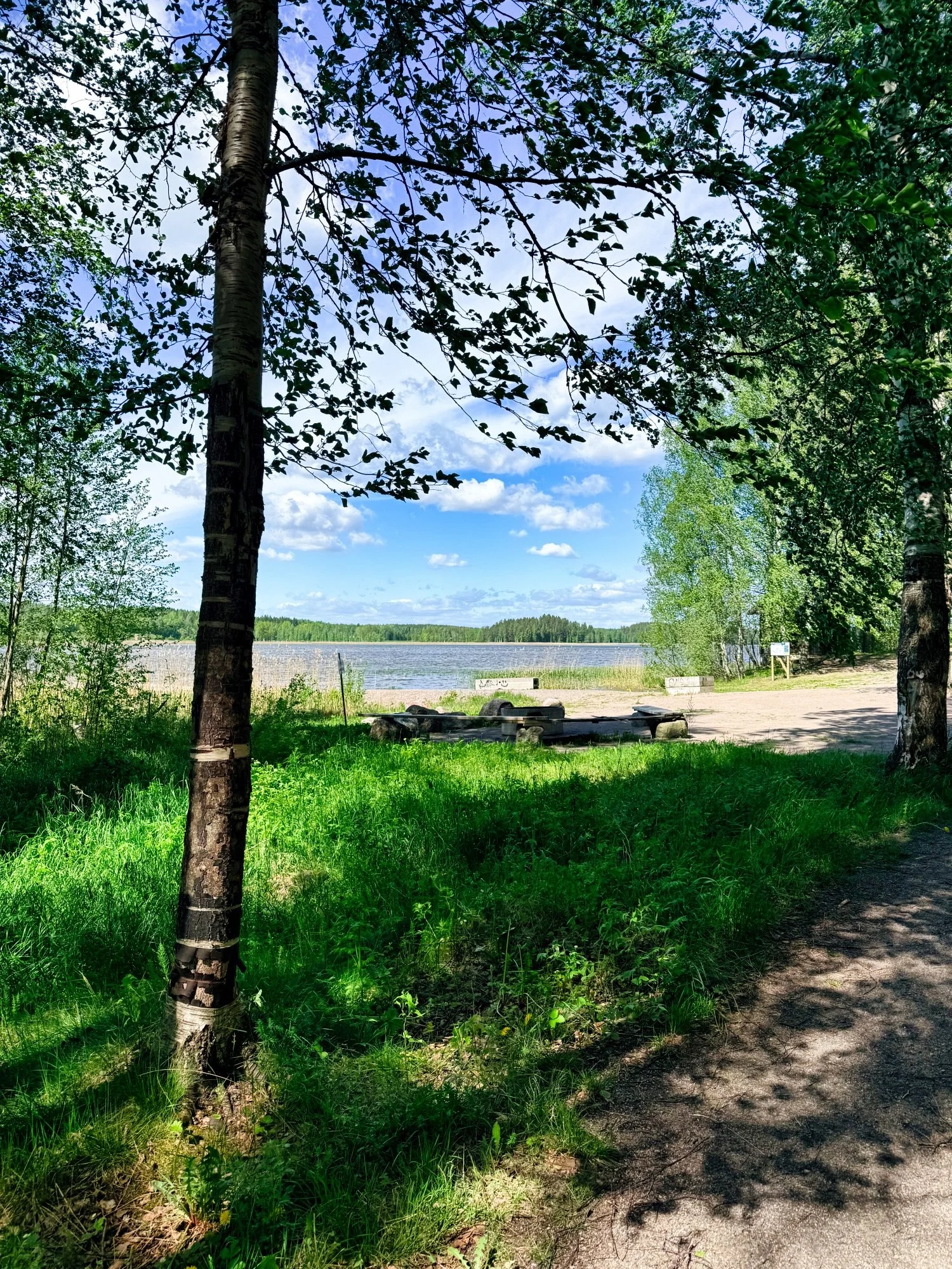 IMG_2637.jpeg