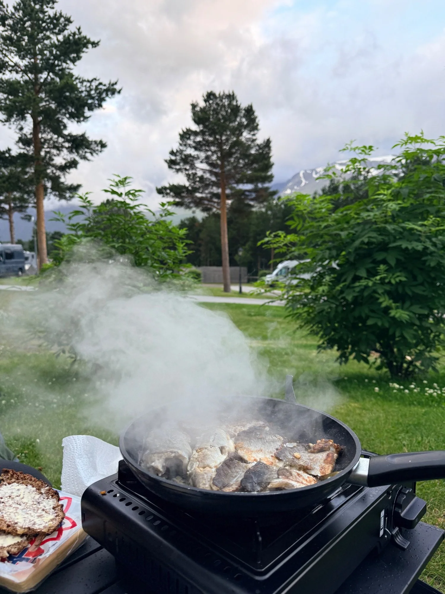 IMG_3095.jpeg