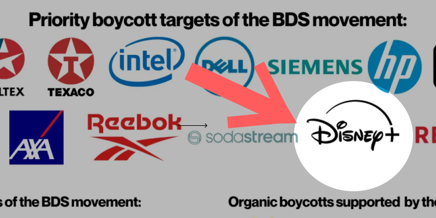 I Will No Longer Be Reviewing Things on&nbsp;Disney+&nbsp;