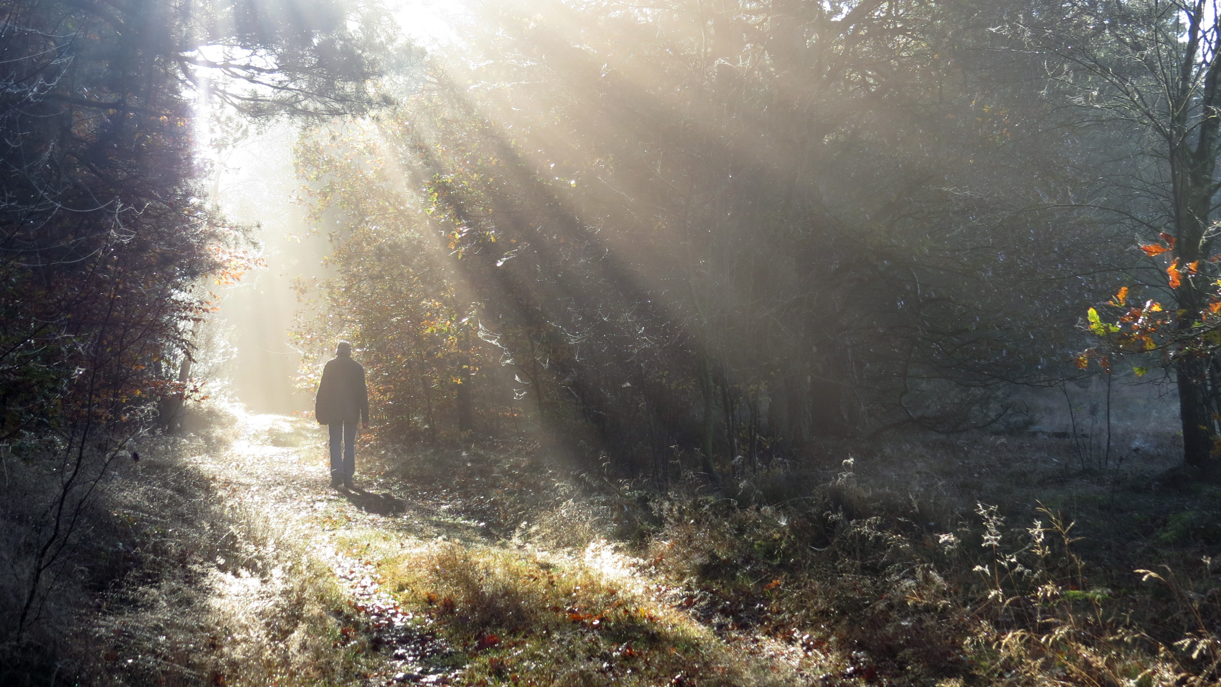 What’s So Good About Grief: A Different Way to Think About Loss