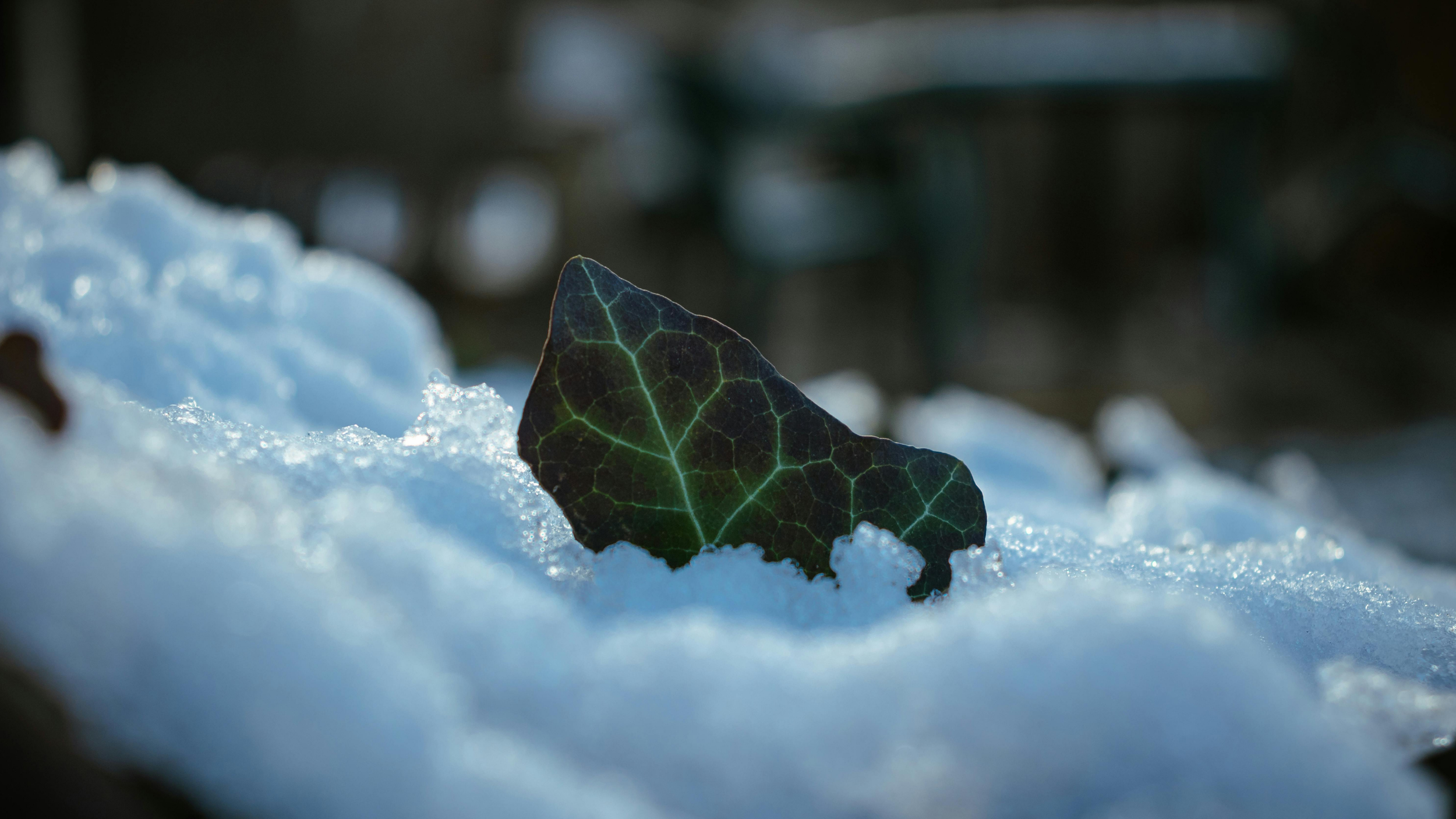 The Art of Becoming: Navigating Life Transitions with Courage