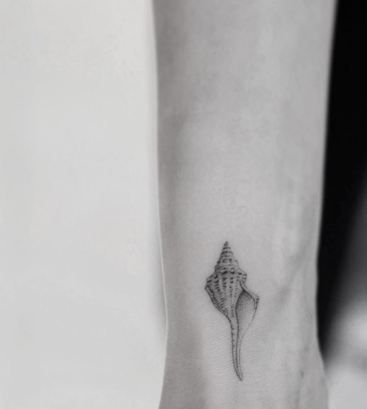 Shark tooth tattoo done at Primordial Pain Tattoo Studio  Tattoogridnet