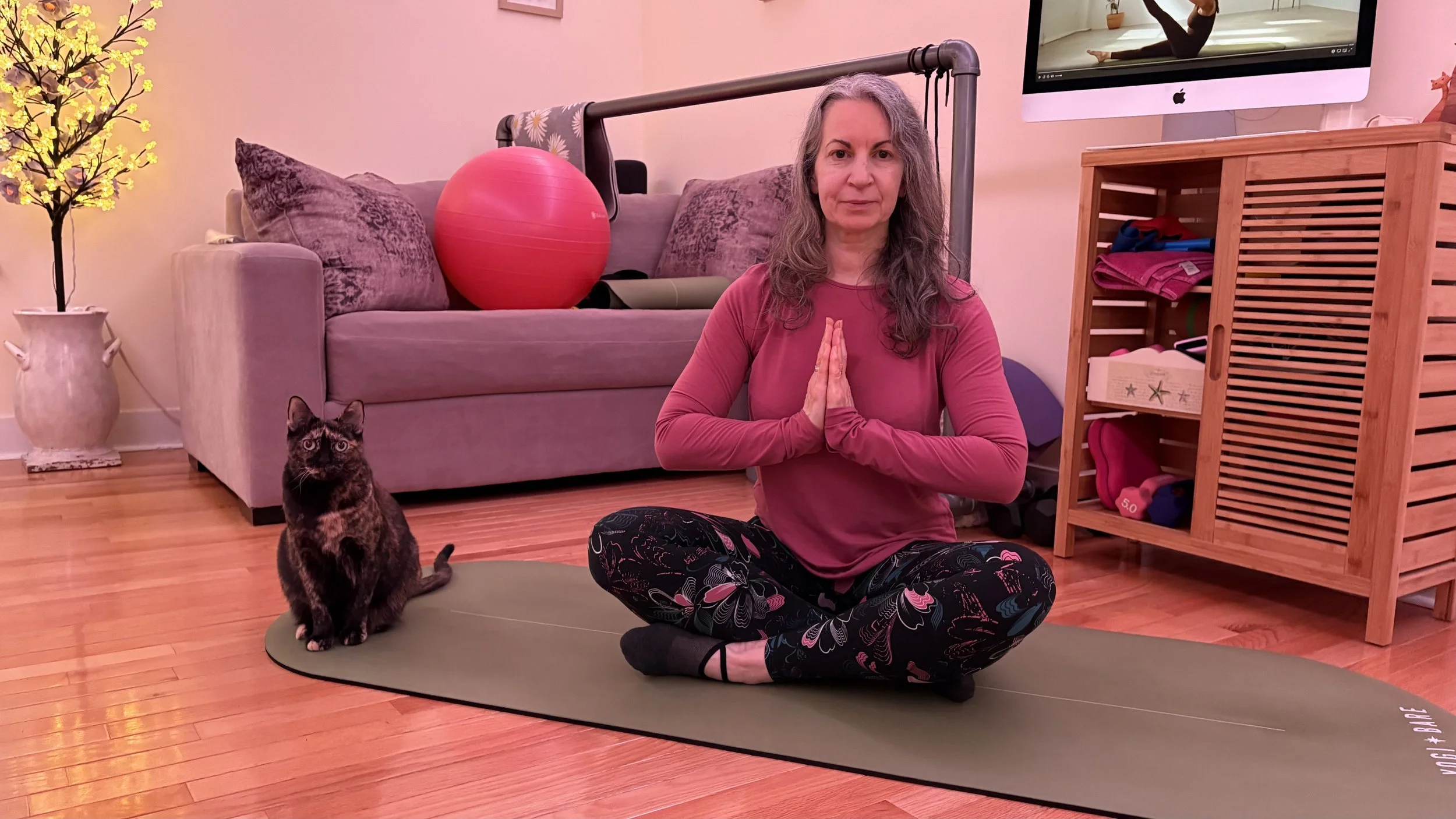 LMP member spotlight: Pamela Thwaite