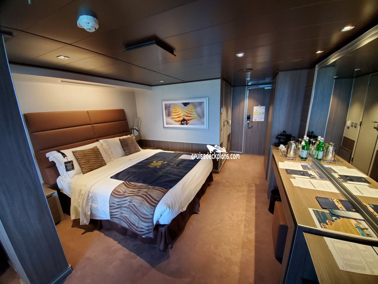 msc seashore 7.jpg