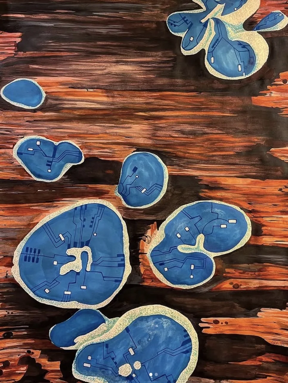 Circuits of Chloriciboria I.jpg