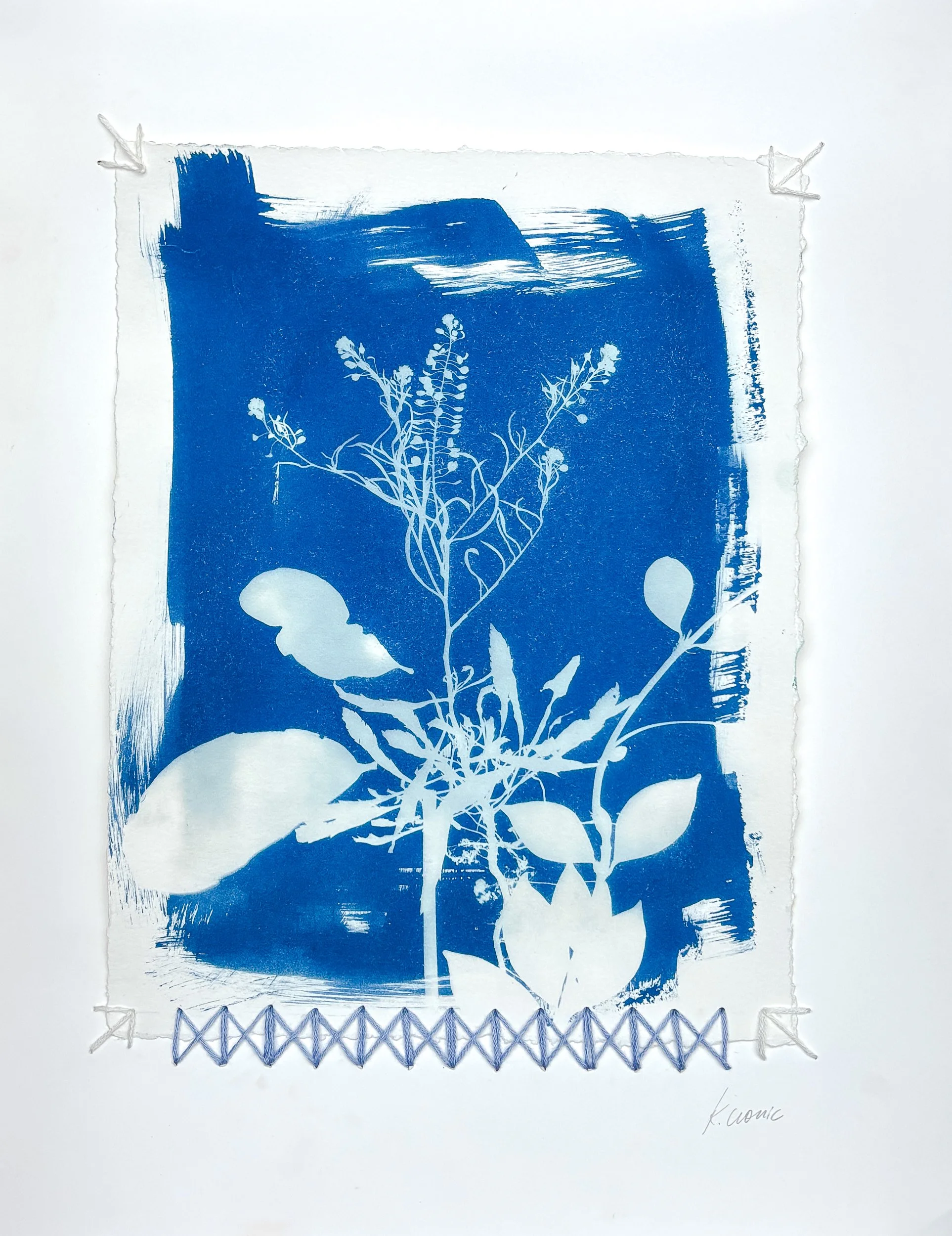 humble offerings
cyanotype and thread on paper
9"x12"
2025