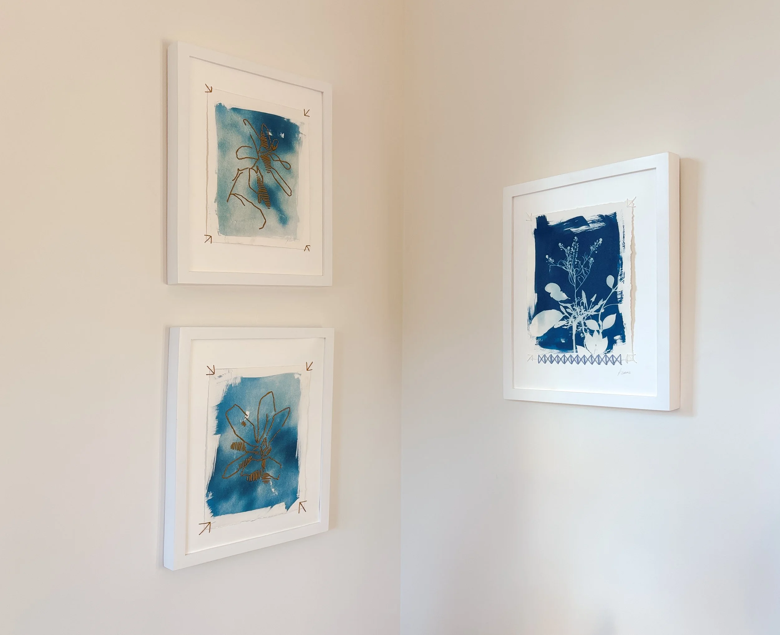 Kristin Cronc_all three install_ cyanotype and thread on paper_12.25x15.25 framed_$350-13.jpg