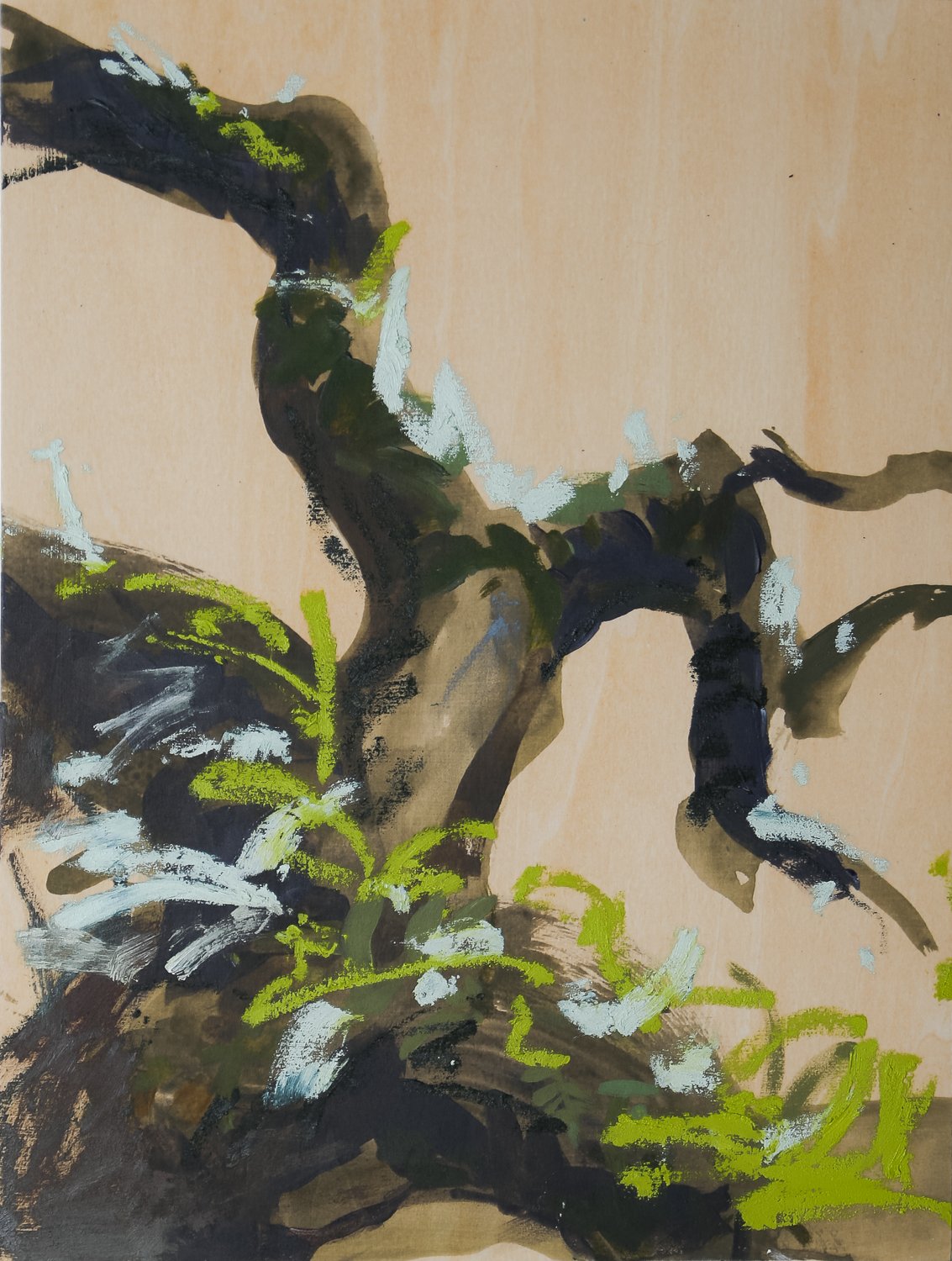 she changed study 2 |
acrylic and oil on cradled wood panel |
9"x12"