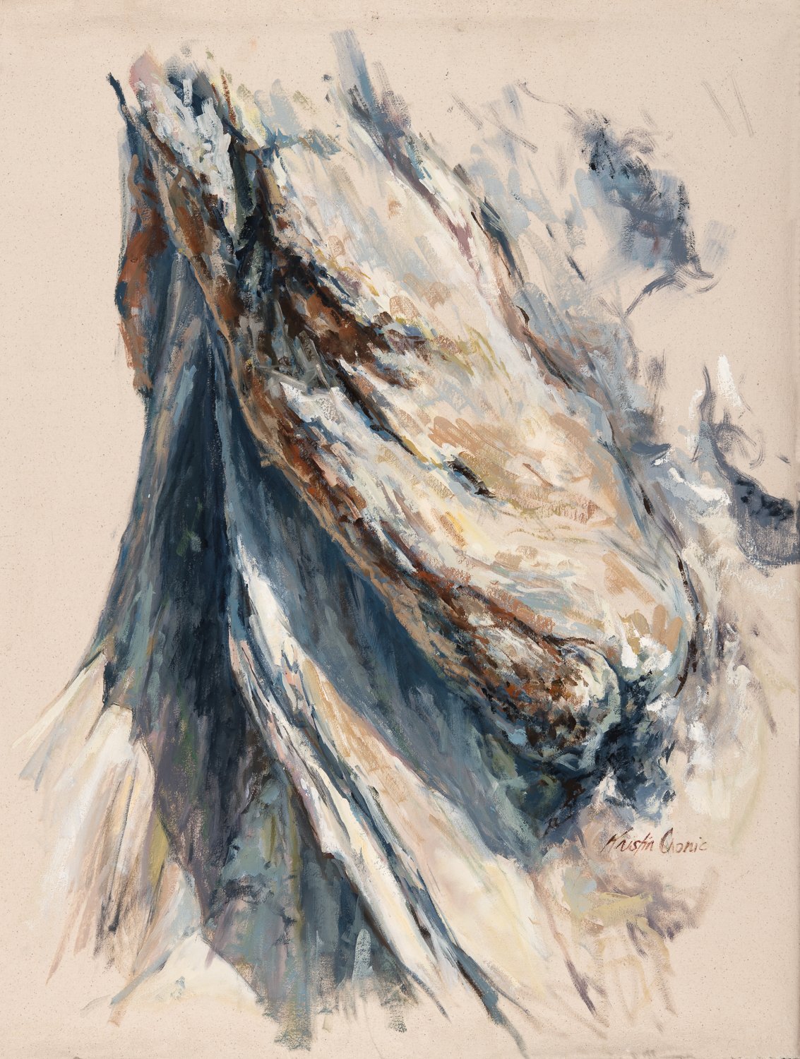 CRONIC_KRISTIN_ 3 _ origin story_2025.jpg