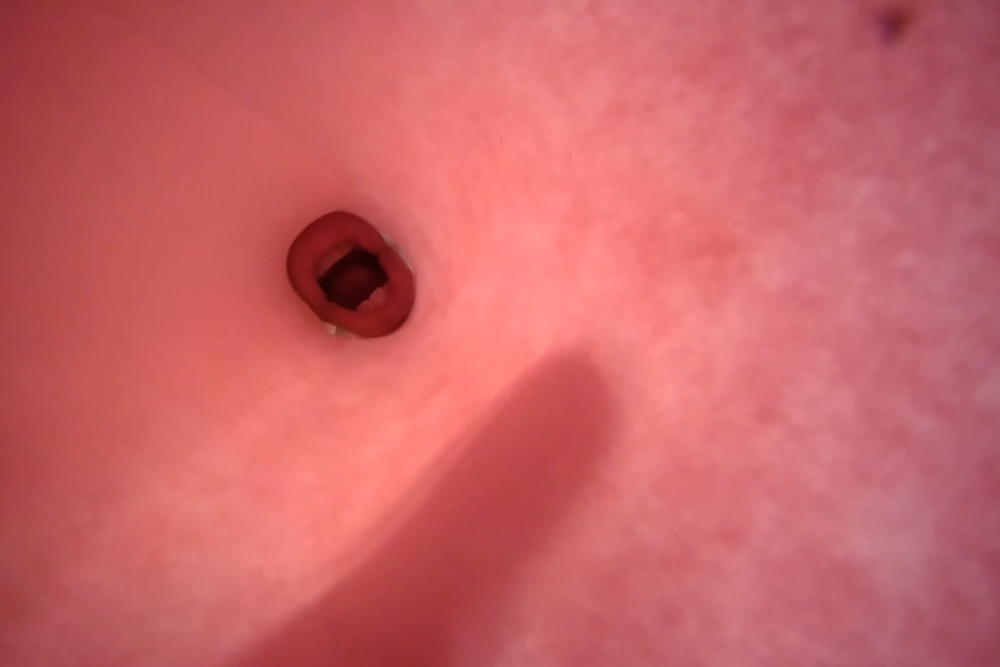 mouth.png