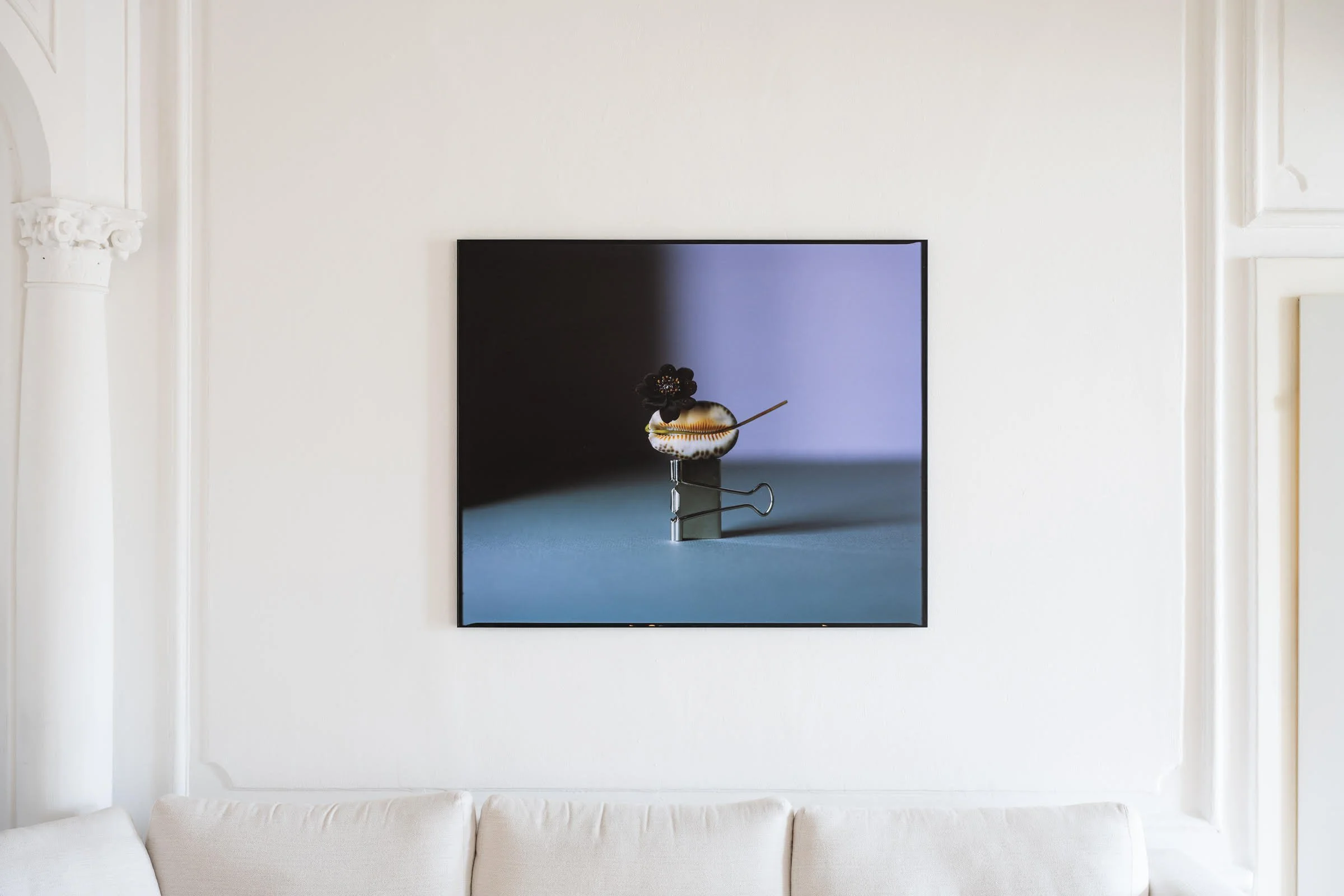 Modern art photograph of a black flower, a cowrie shell, and a paperclip arranged on a surface with a shadowy background, displayed on a wall above a white sofa.