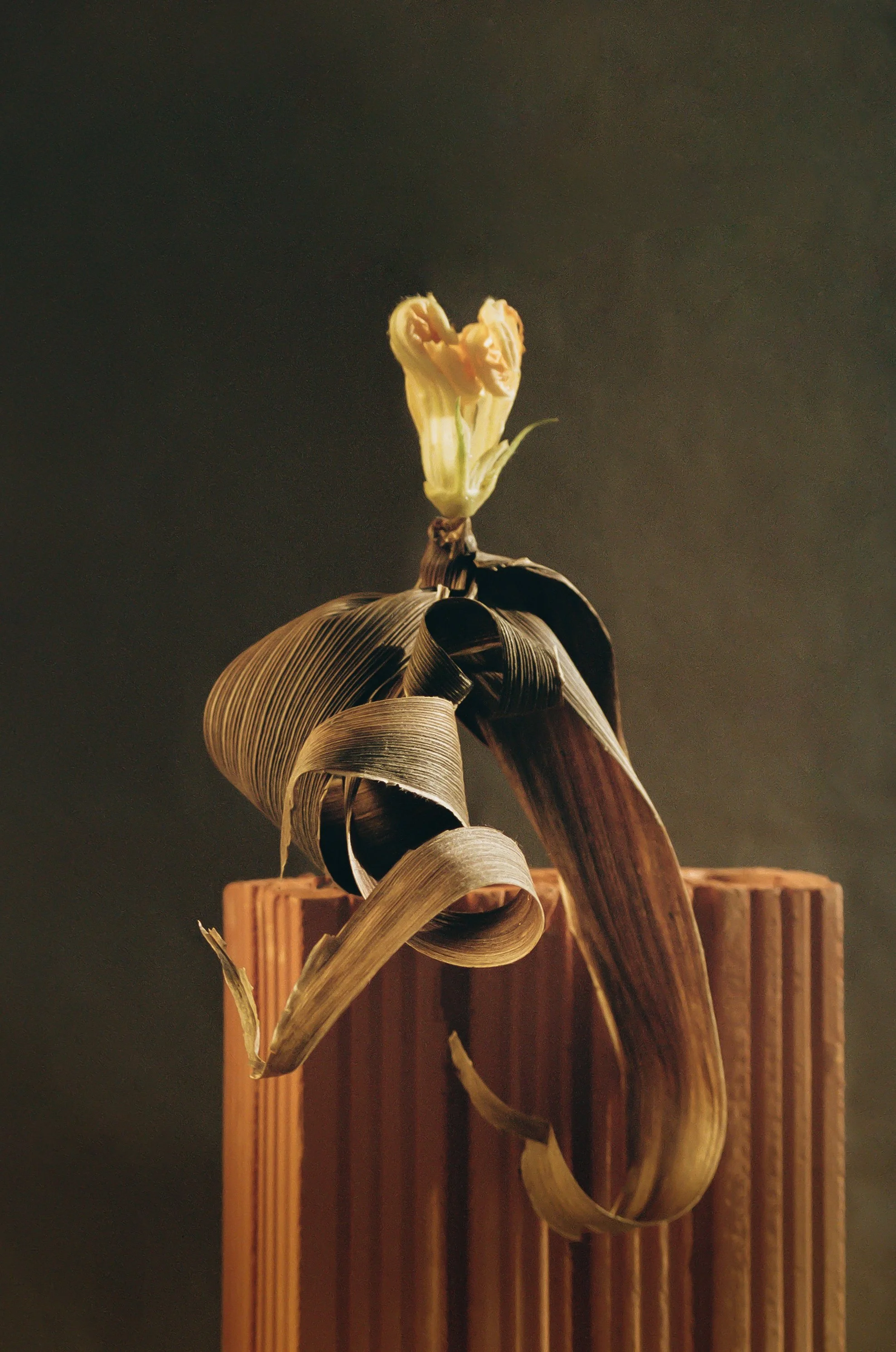 Still Alive {Wild Heart}