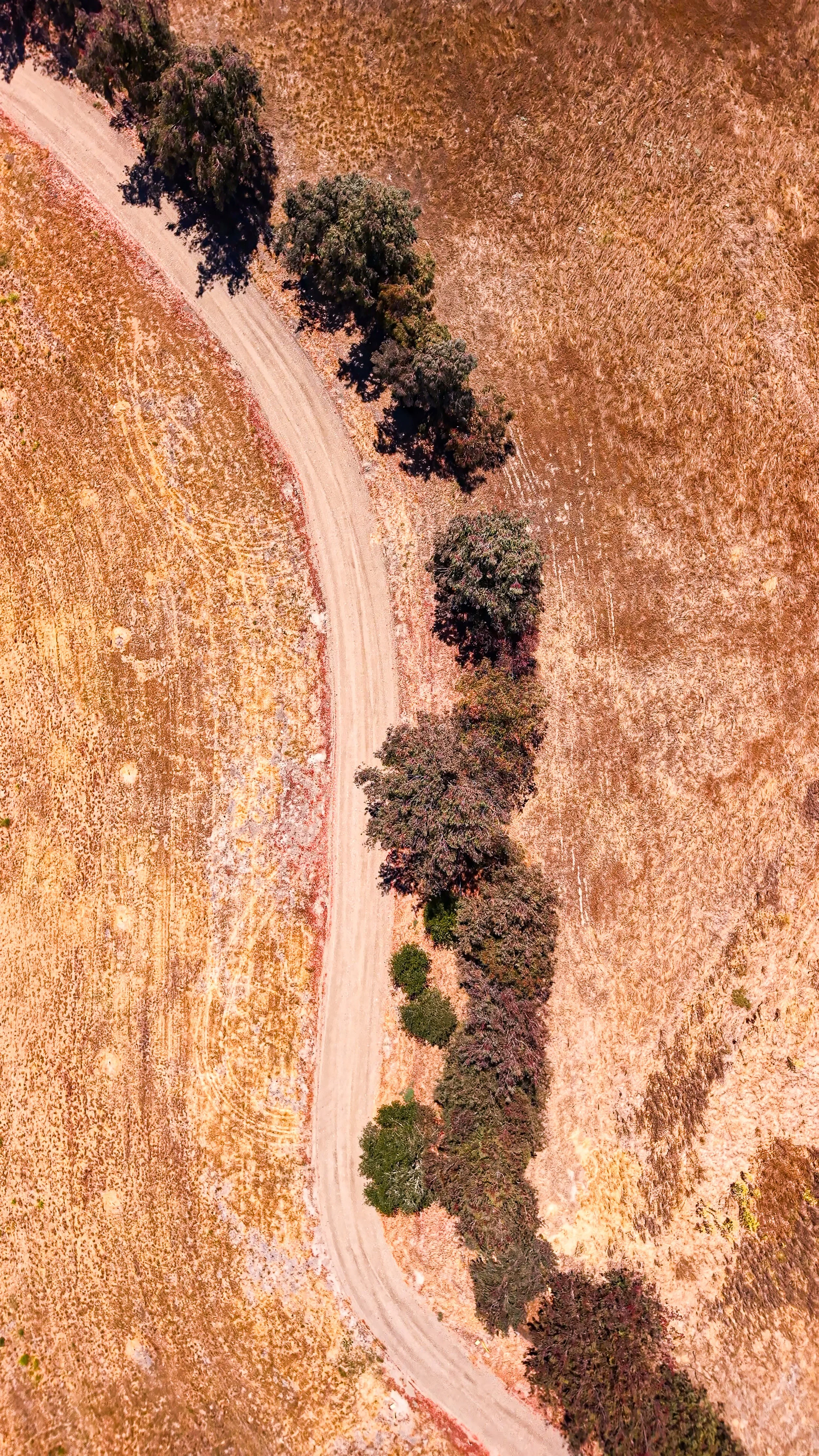 Big Sur 2026.jpg