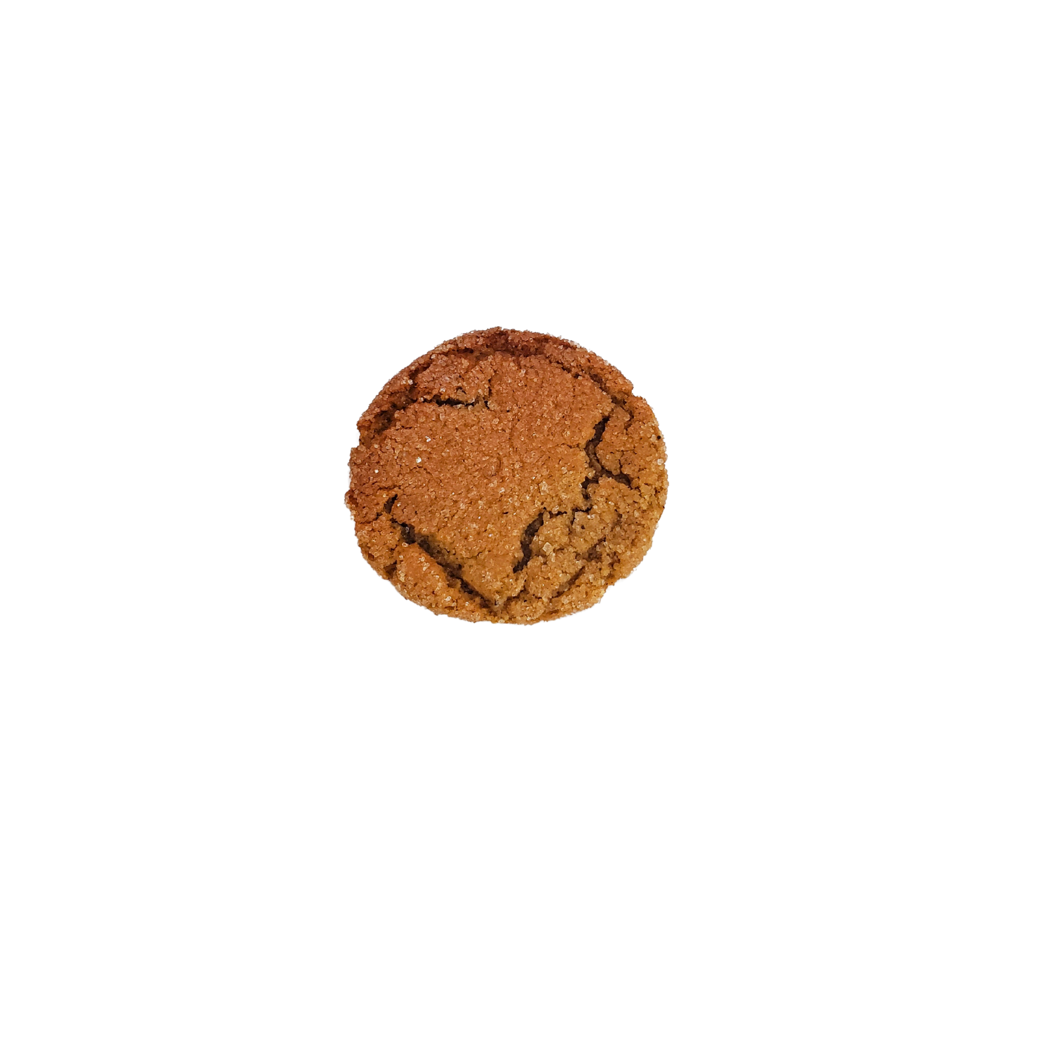 Ginger Snap.png