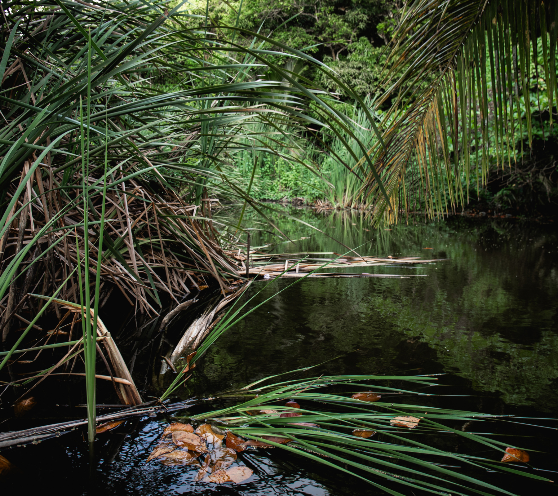 Labba &amp; Creek Water: Lessons on Revolutionary Solidarity 