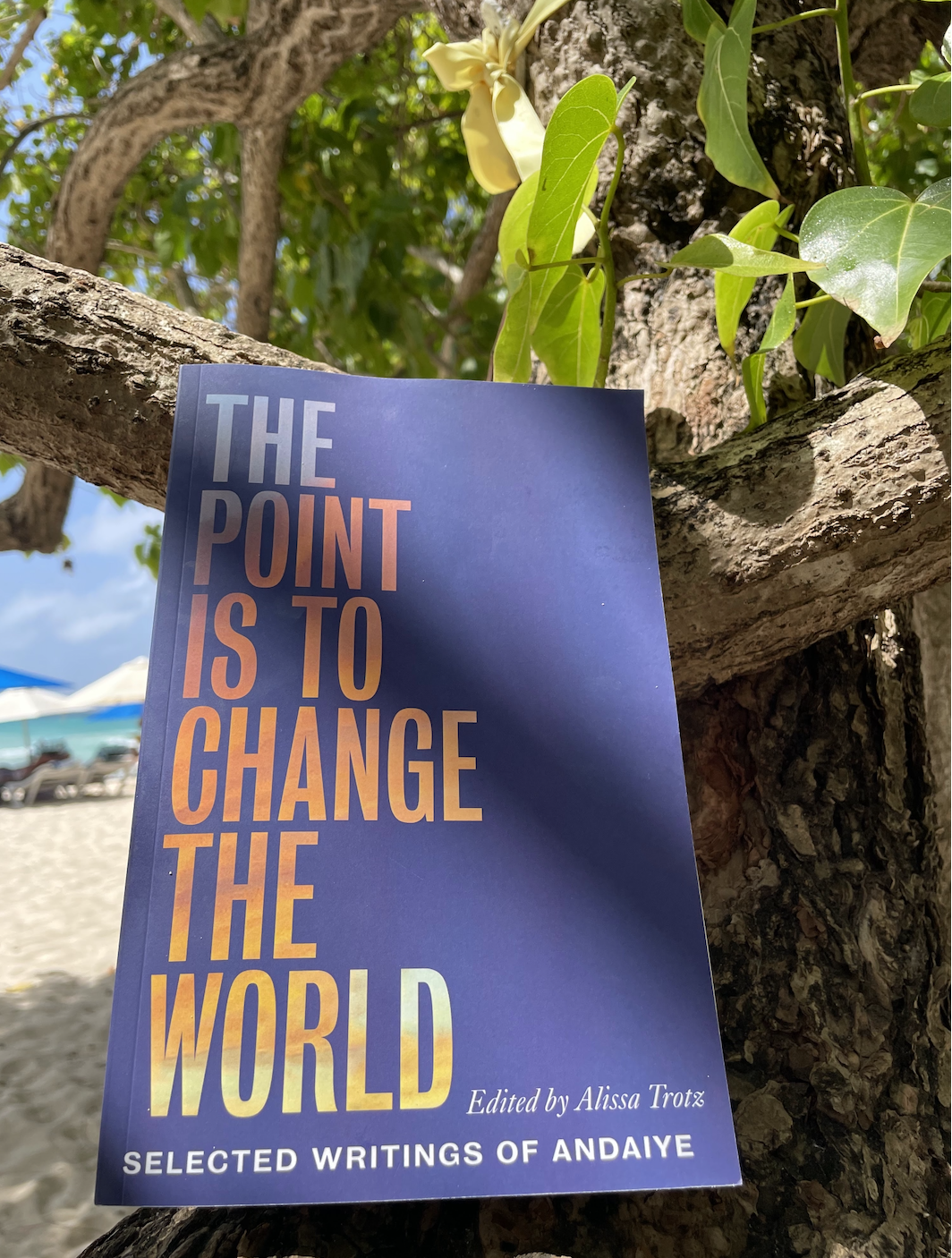   Photo taken by the author in Barbados after the forum. 