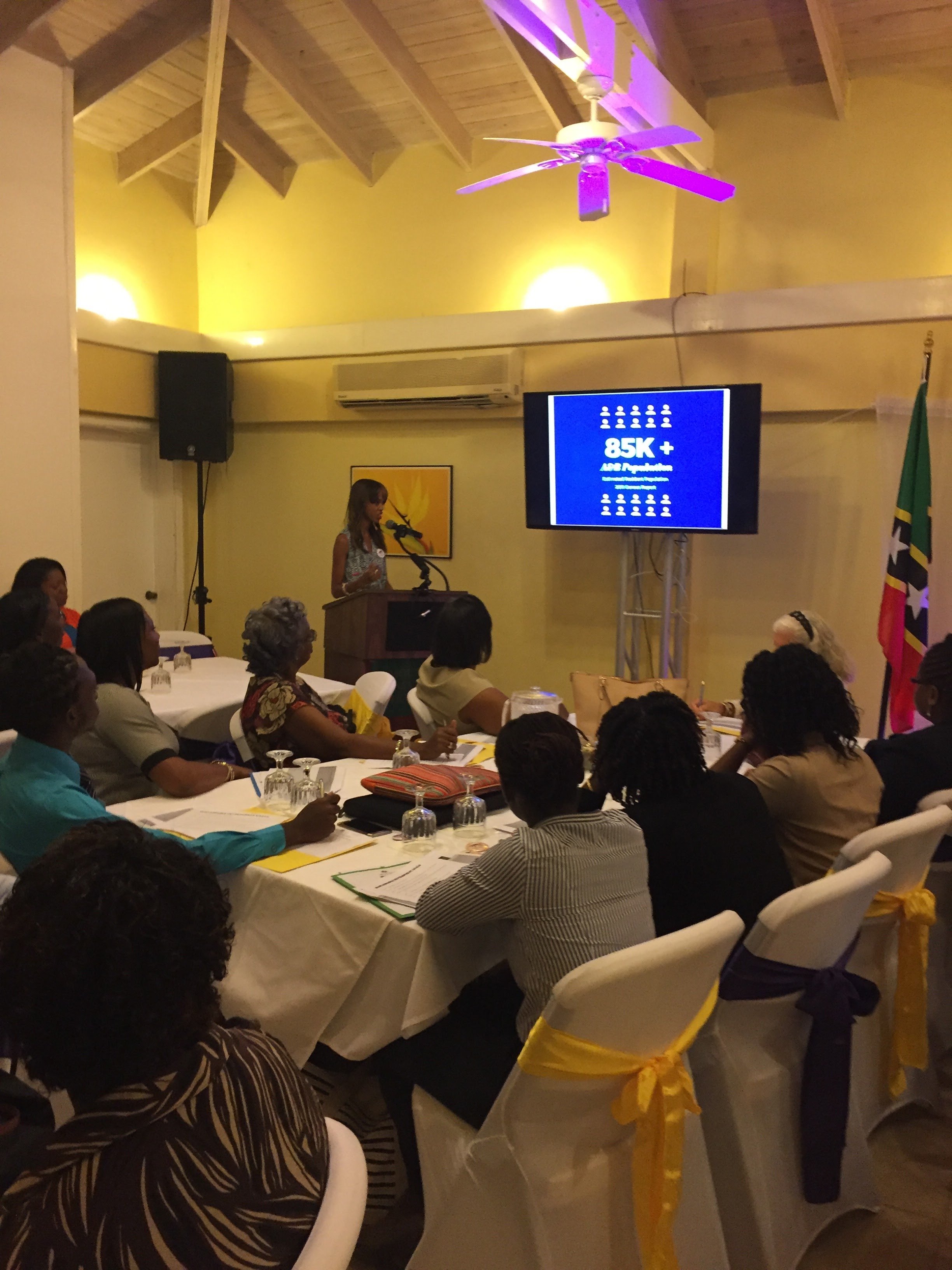 Sarah-Anne Gresham, co-founder of Intersect Antigua-Barbuda and former Research officer at the Directorate of Gender Affairs presenting at the Subregional Women's Forum in St. Kitts in 2017.