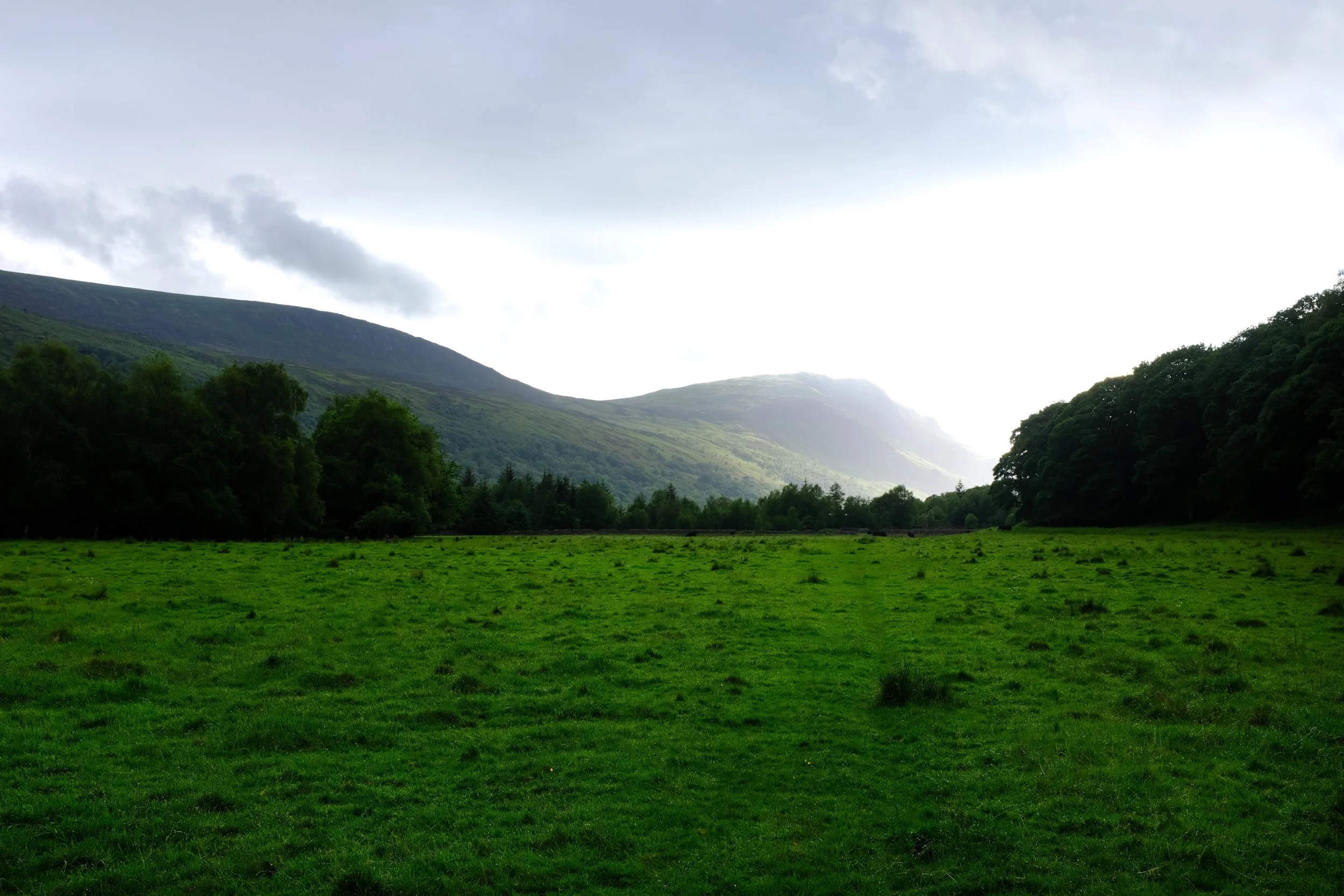 20230825_Ennerdale_ForSharing-1.jpg