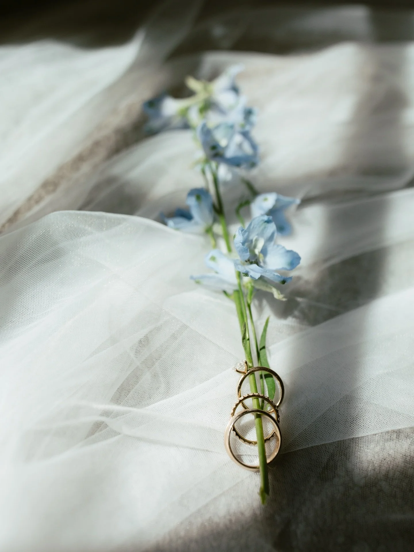 While I love creating beautiful portraits, I also love stepping back and capturing the real moments and details happening in your wedding day.

It&rsquo;s also about the unseen moments. The quiet moments and details before guests arrive, the ones you