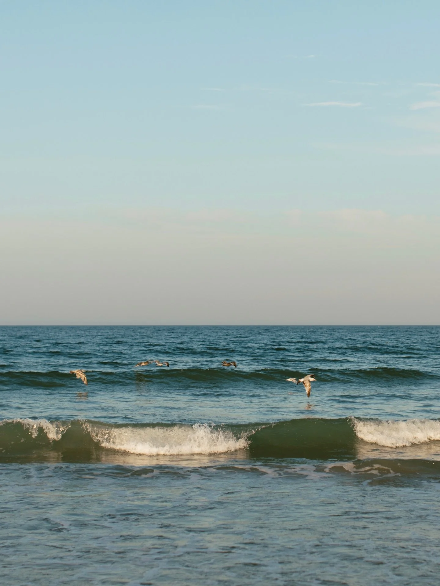 After the winter we&rsquo;ve had, it&rsquo;s hard to believe warmer weather is coming BUT IT IS. Which means, time to book those sessions and frolic around with me 🫶🏼

#massachusettsweddingphotographer #newenglandphotographer #bostonweddingphotogra