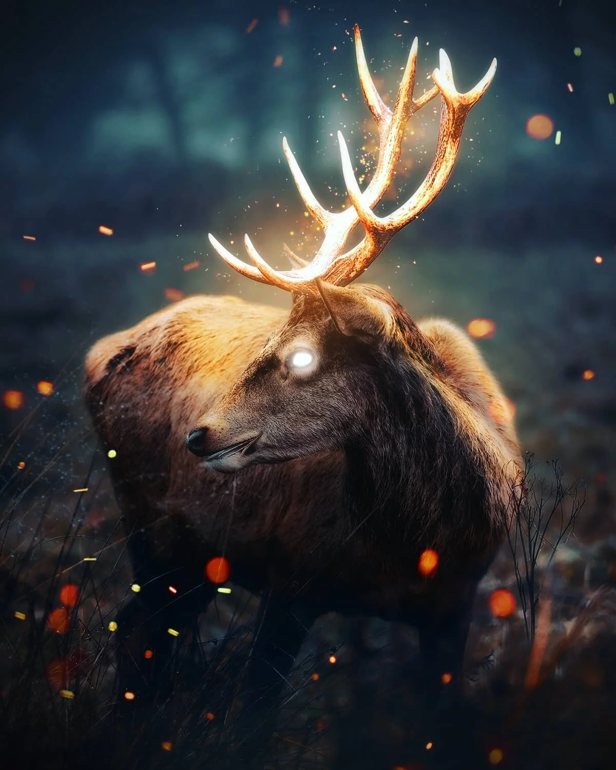 Artemis' Hind.