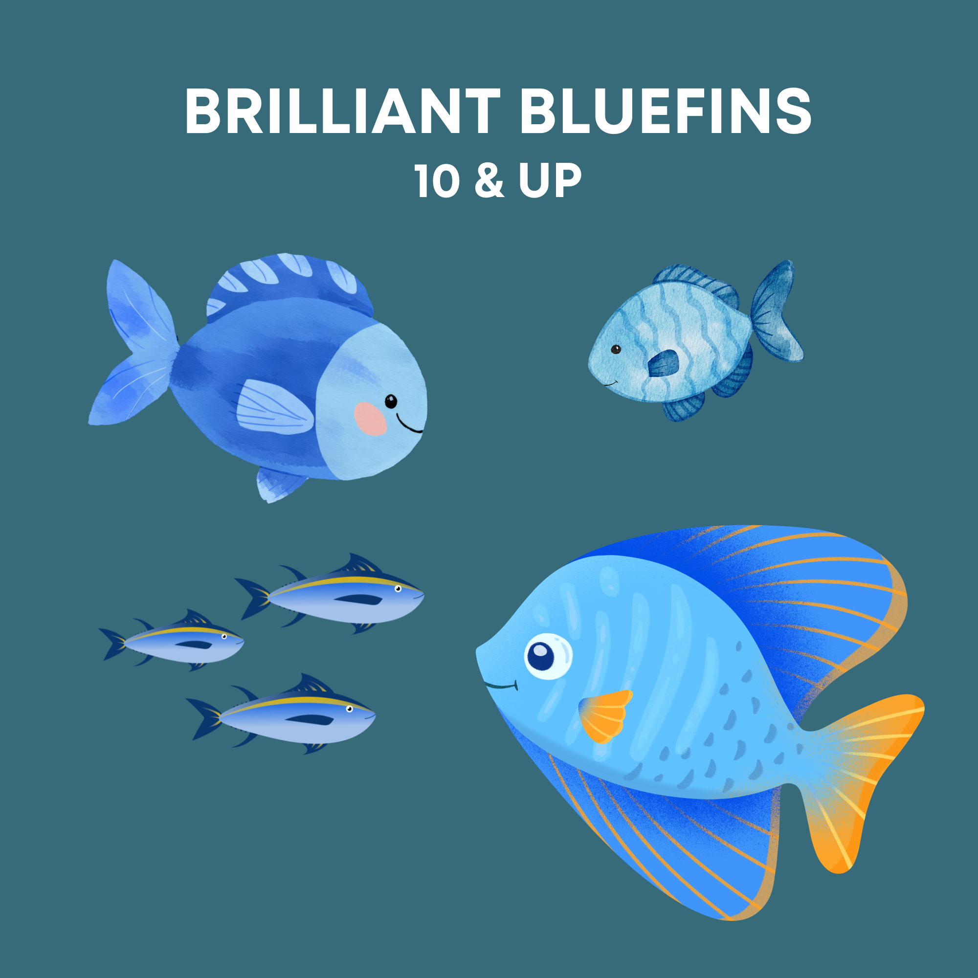 Brilliant Bluefins: Drawing Intermediate Level (10 & up)