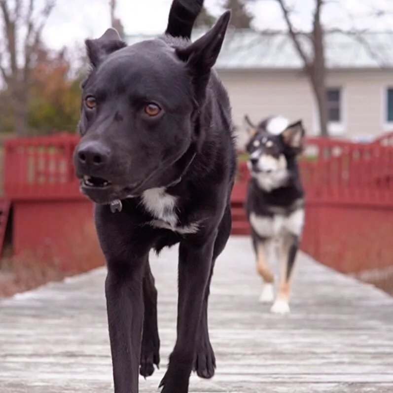 Seneca Lake, New York