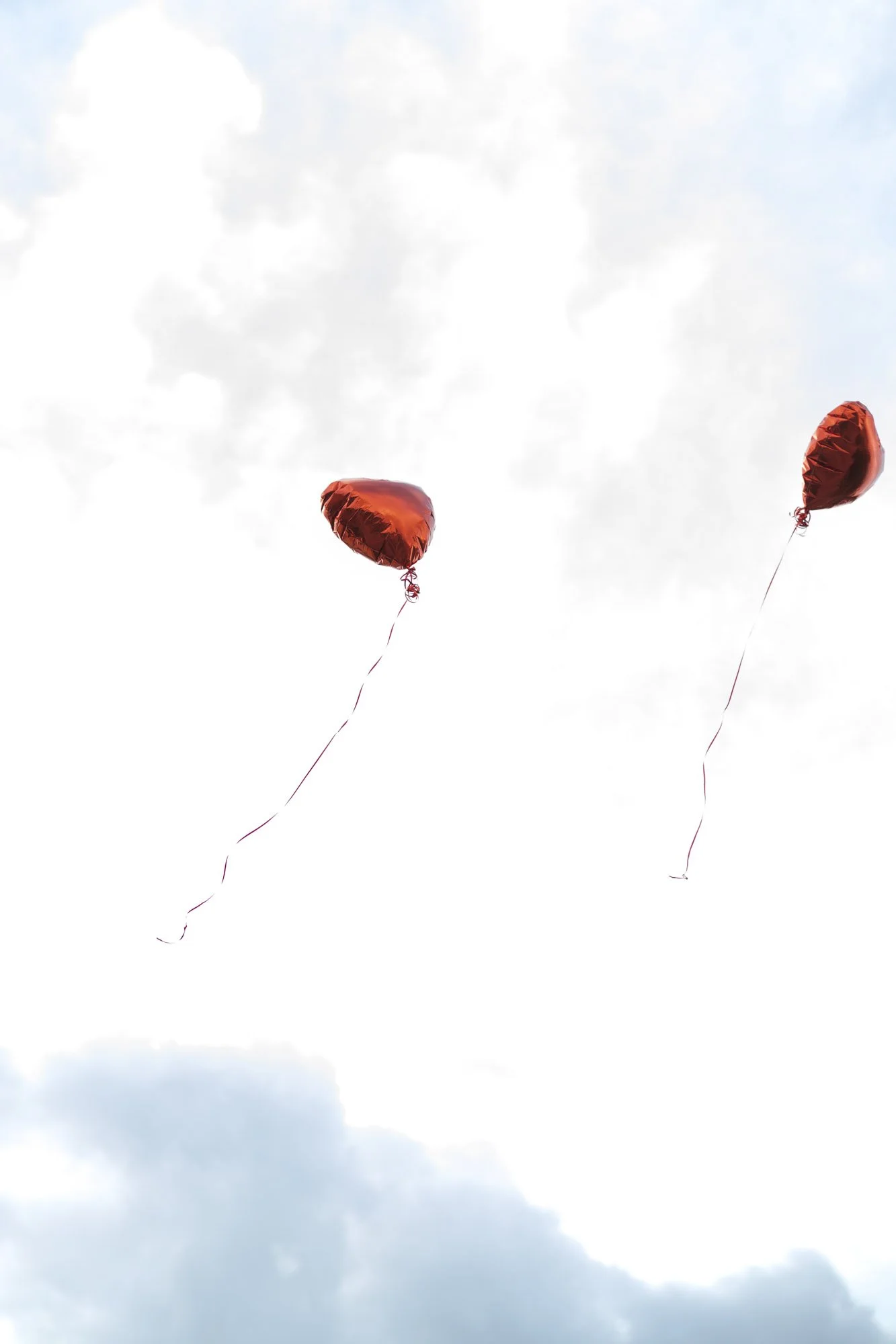 Wedding_Photography (80 von 86).jpg