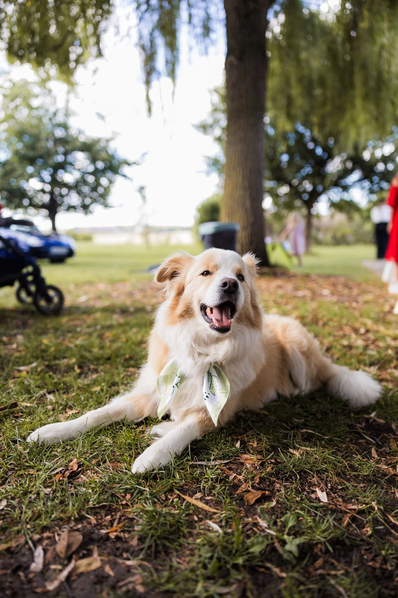 Wedding_Photography (123 von 147).jpg