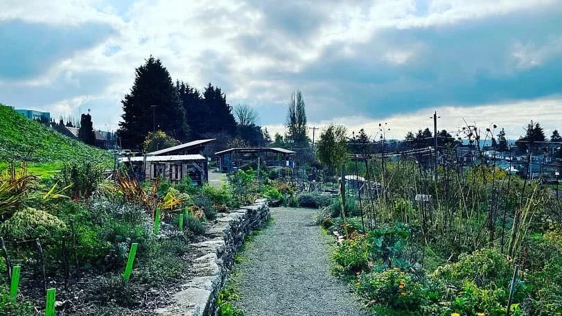 Third Saturday Work Party