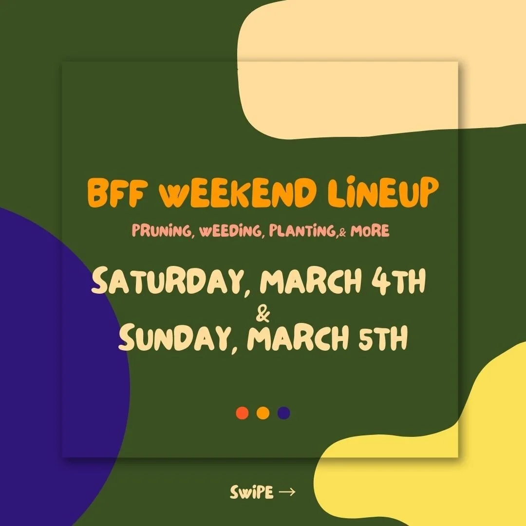 Hey family! We've got a mouthful of things to dig into this weekend! Whether you're interested in sowing seeds, pruning, weeding, propagating, or anything else you see above, there is space for you here! We'd love to have you here. See you soon! &nda