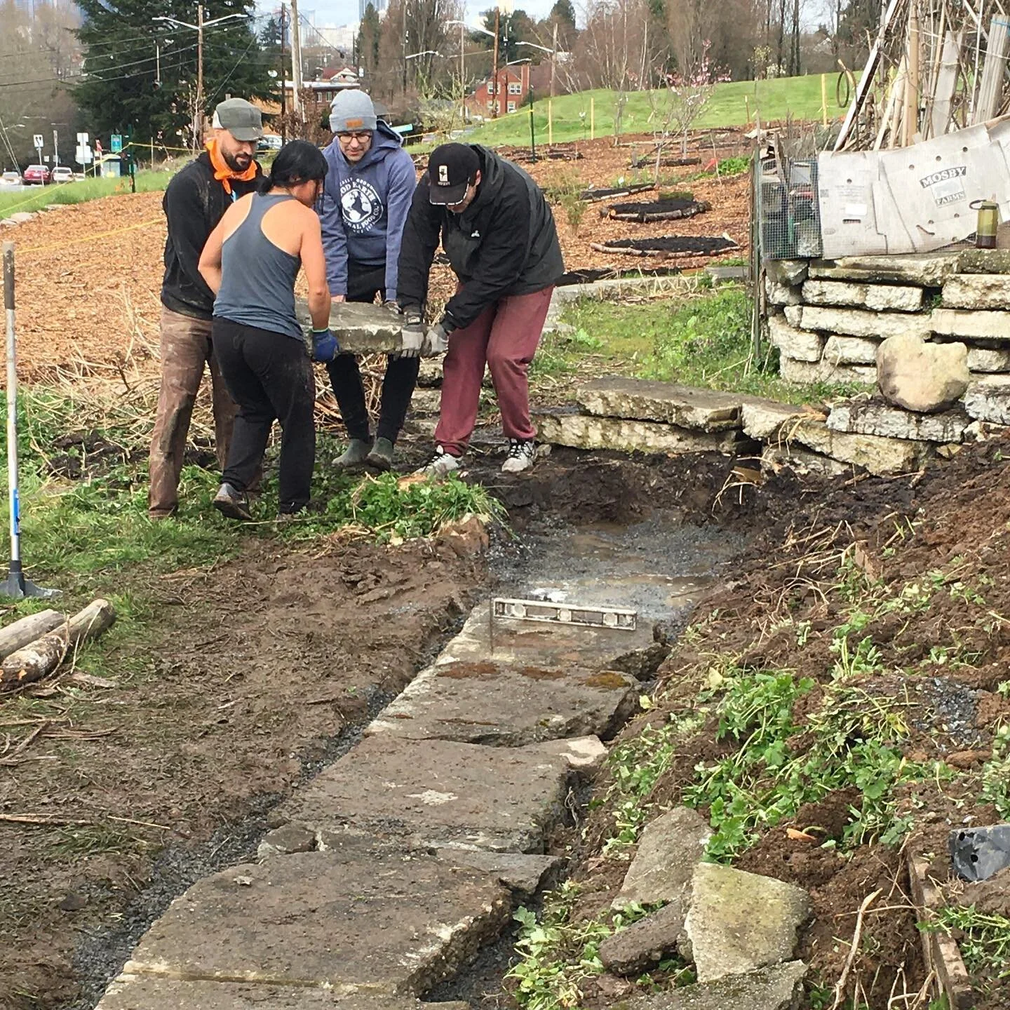 Join us at Beacon Food Forest for our February Third Saturday community work party! 
February 18th 10am - 2pm - 
Meet us at 10 at the Gathering Plaza under the rainbow tent to learn about tasks for the day and jump in! 
Dress for the weather, bring w