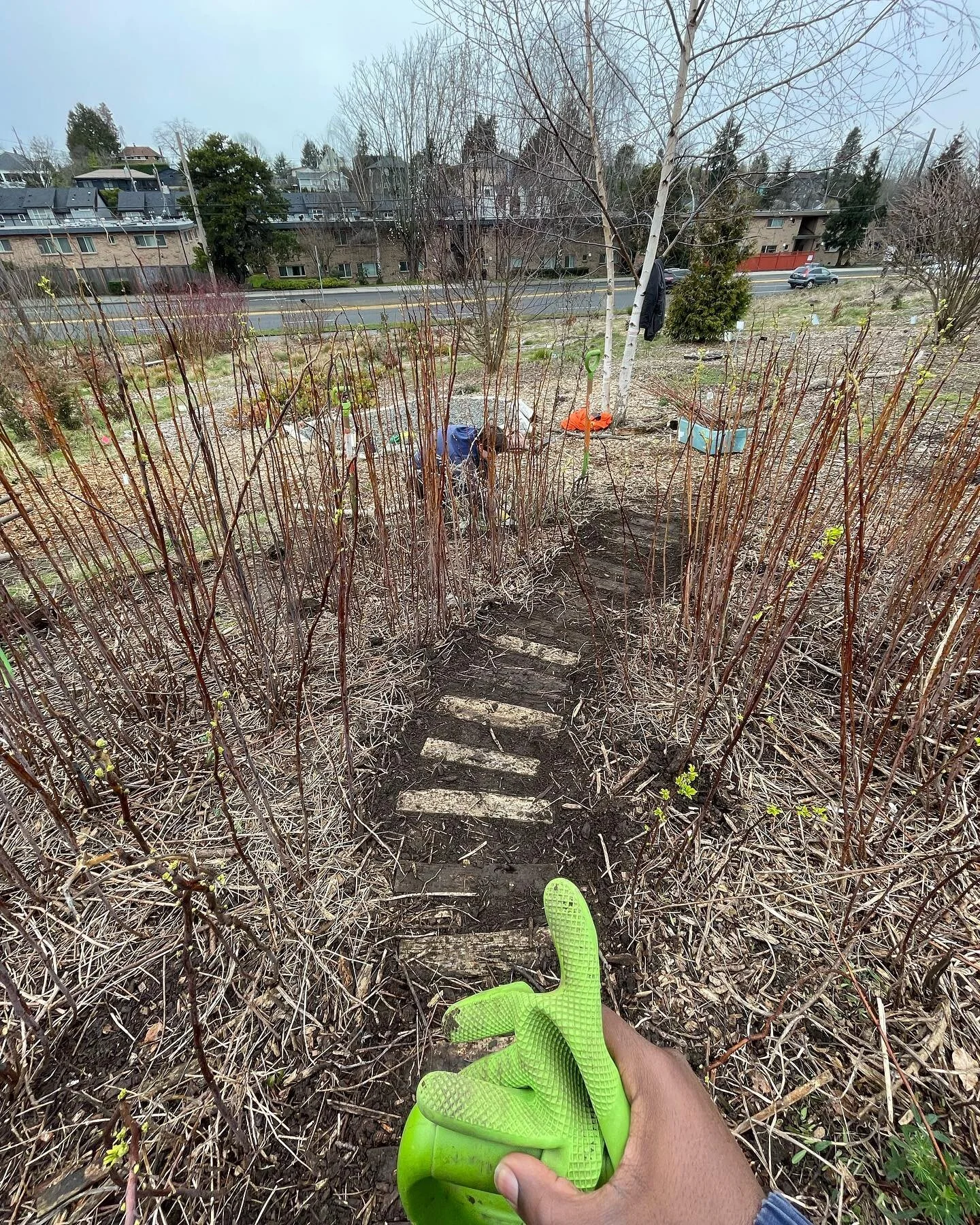 As we inch closer to spring, warmer days, more sun, more people, and of course, more food, we&rsquo;d like to take a second to extend gratitude. 

Gratitude towards the many, many hands (big and small) that make everything at the Beacon Food Forest p