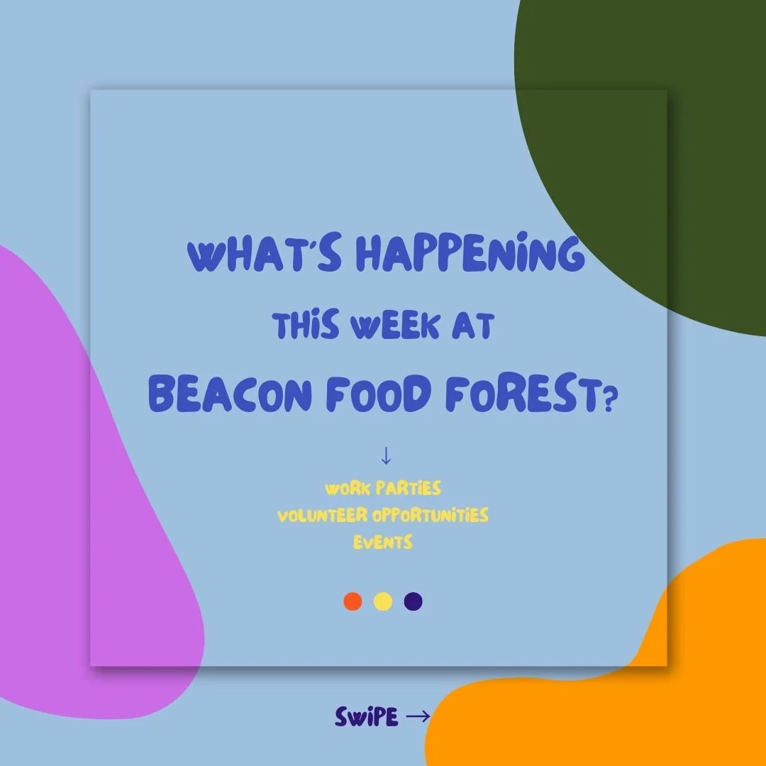 Looking for something to dig into this weekend, or in the near future? We've got plenty. This weekend we'll be weeding, digging, chatting, and hanging out rain or shine! We're also in need of a few regular (or not-as-regular) volunteers to help us ou