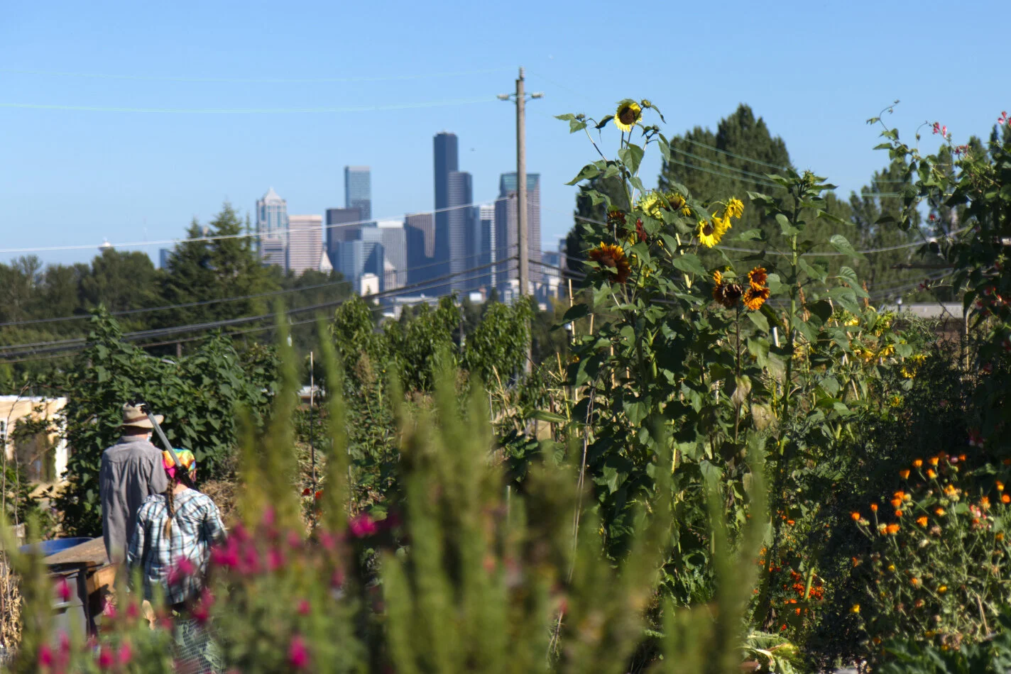 Visit us — Beacon Food Forest
