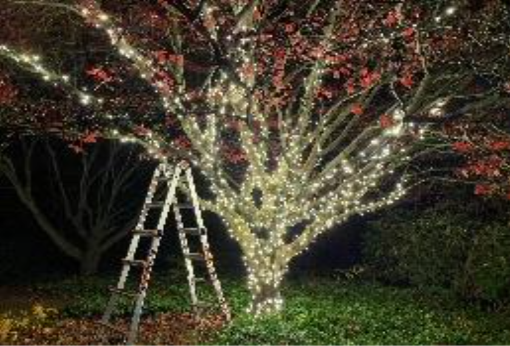 Warm white LED minilights