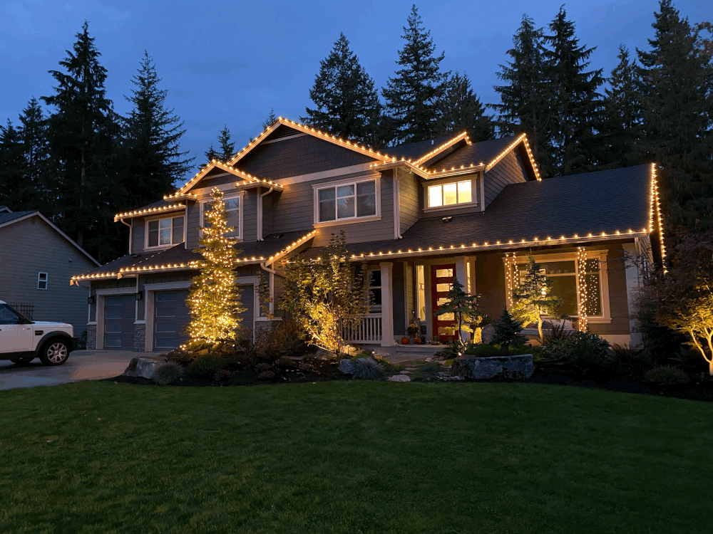 Spiral tree with mini lights, landscape uplights, mini lights on porch swing