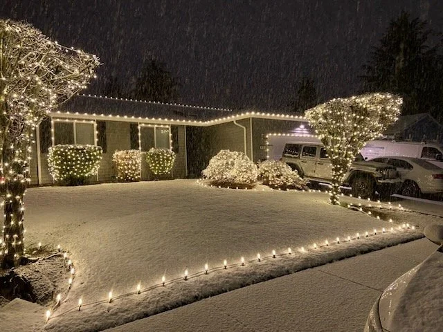 Spiral trees with mini lights, ground stake C7 lamps, mini lights on shrubs