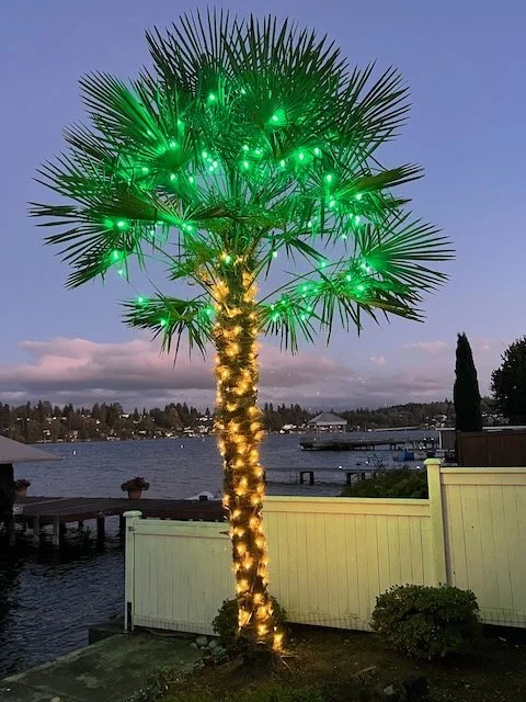 Mini lights on trunk with green C7 in canopy