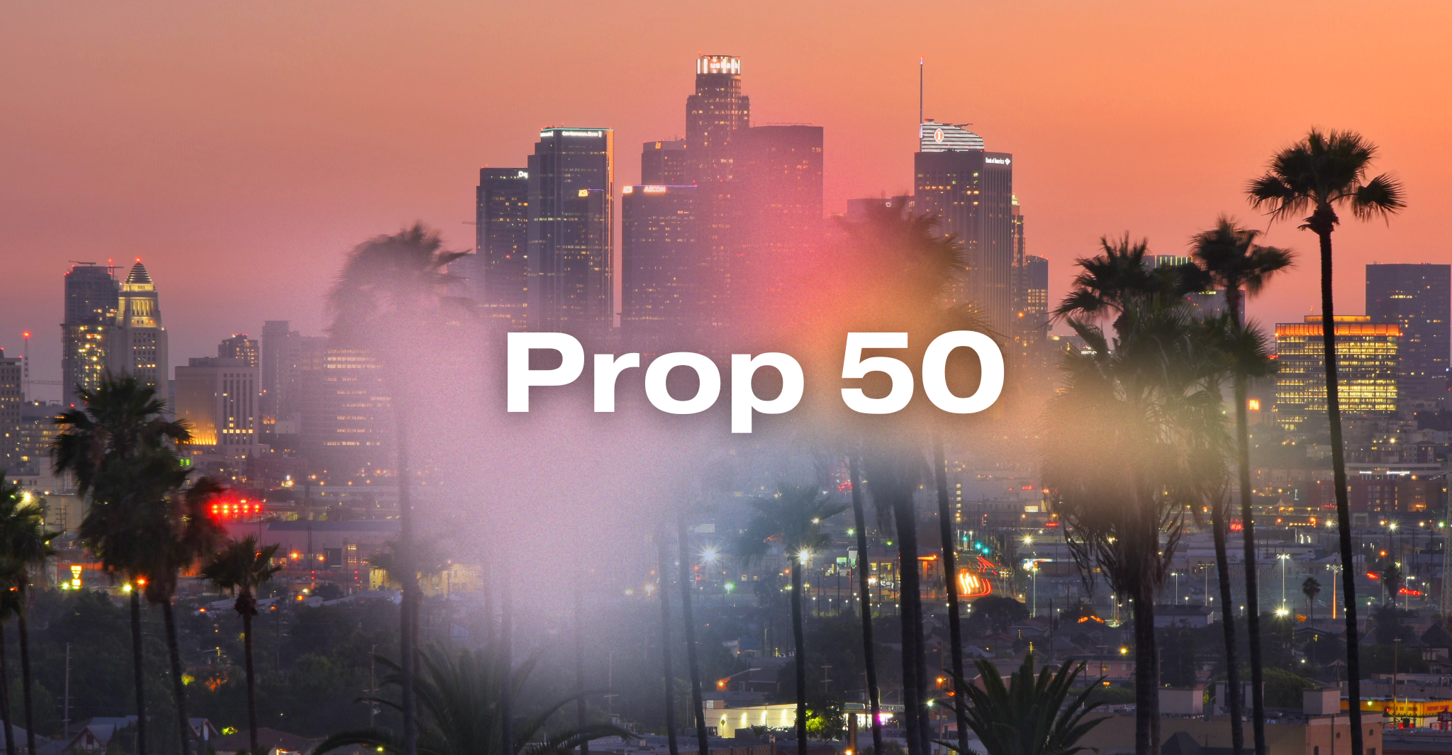 Organizing for Prop 50