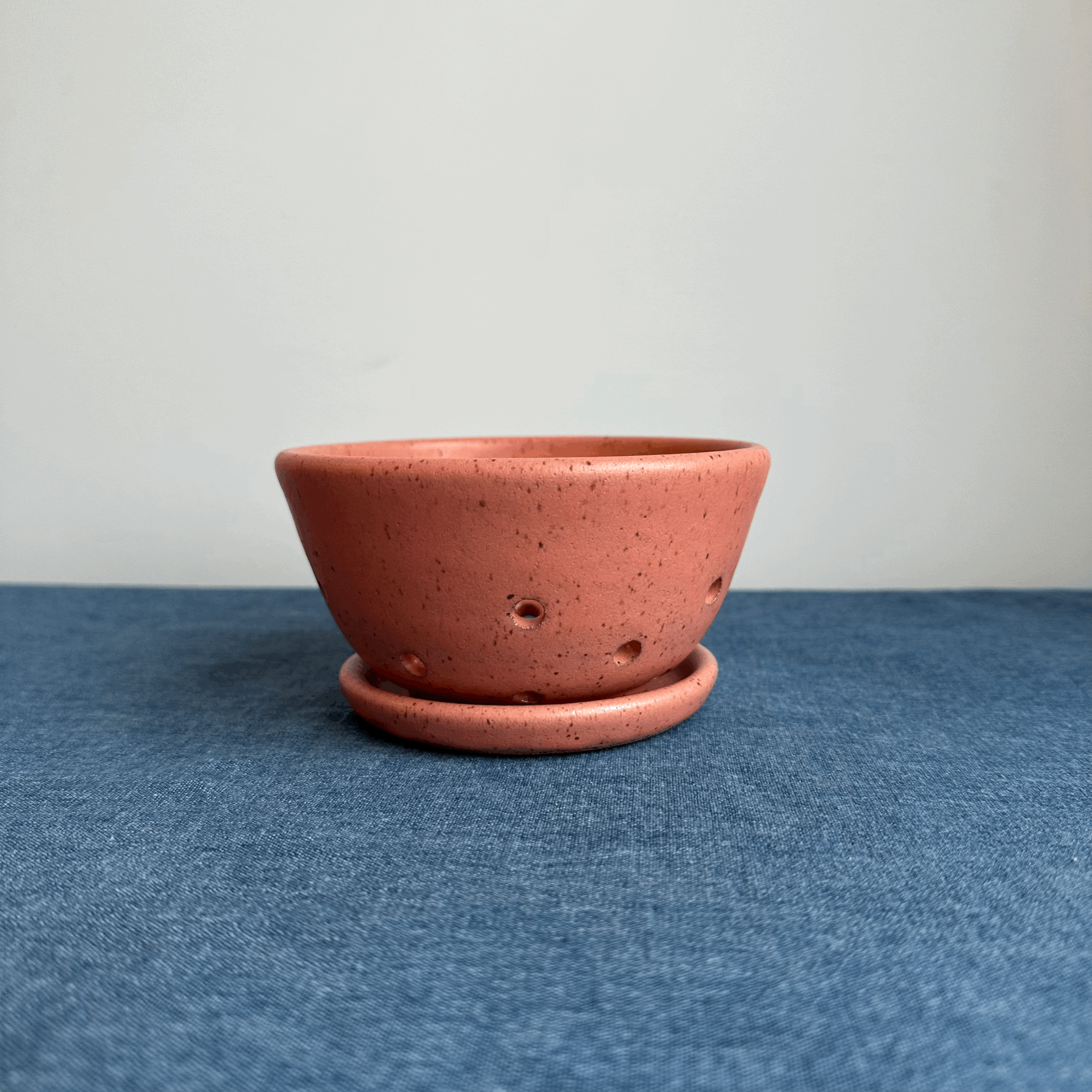 Berry Bowl - Flamingo