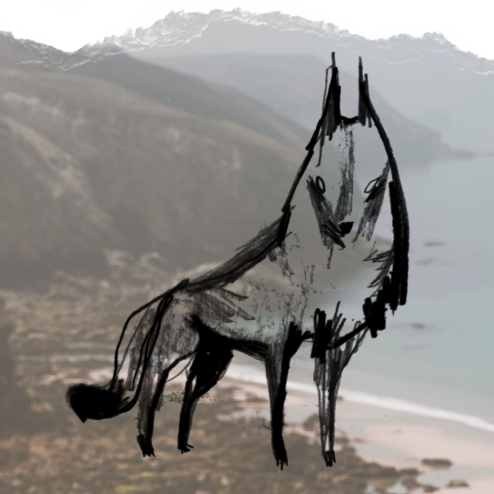 Welcome to Wolf Moon Cove