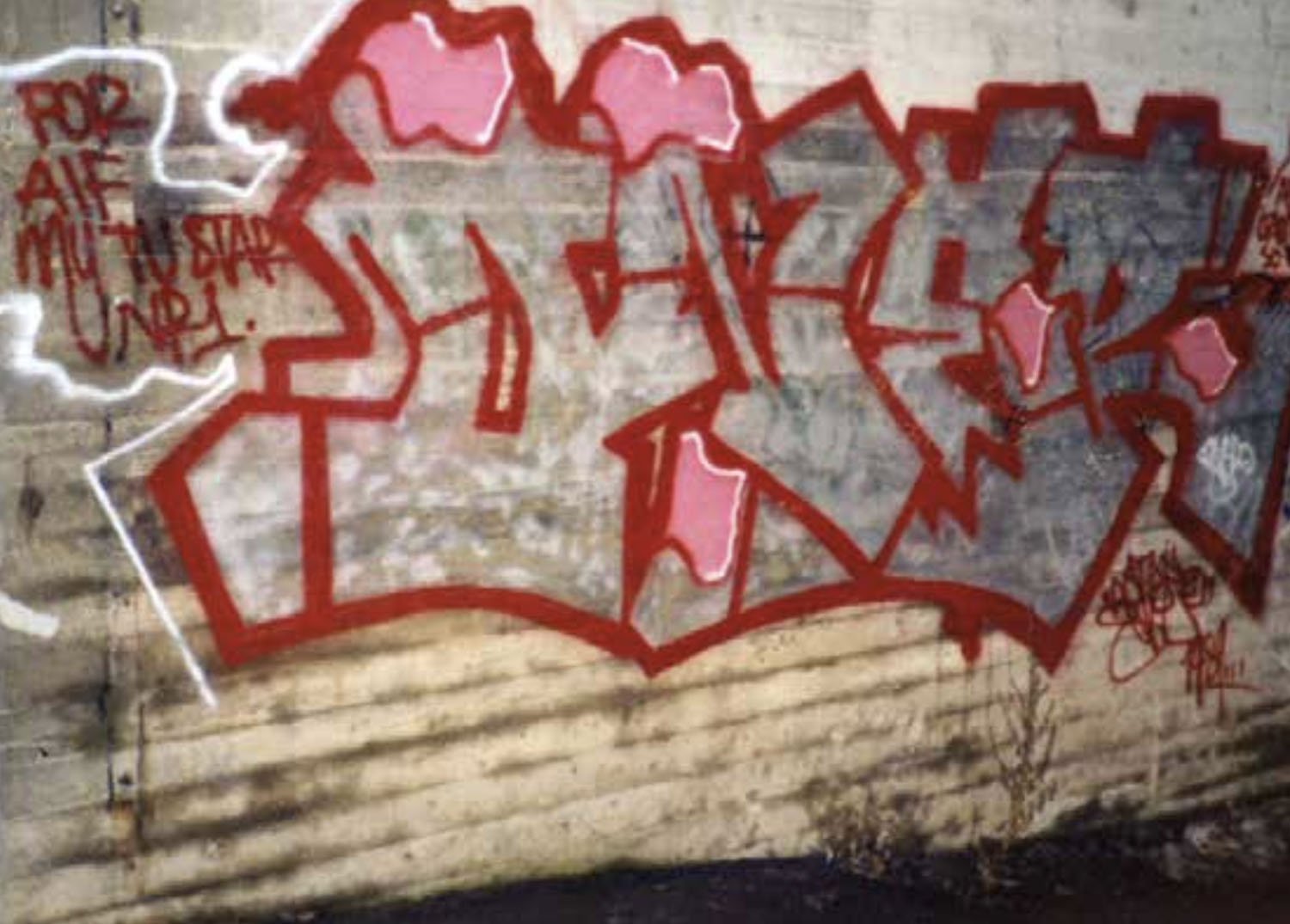  Oner, 1989 