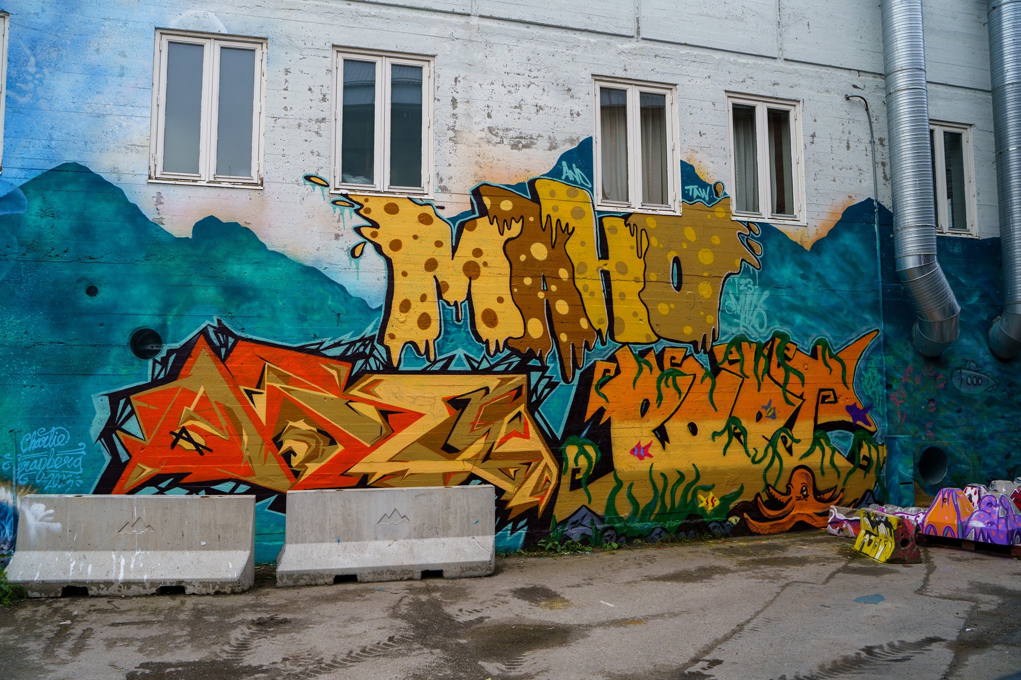 Graffitikunst-i-Tromsø.jpg