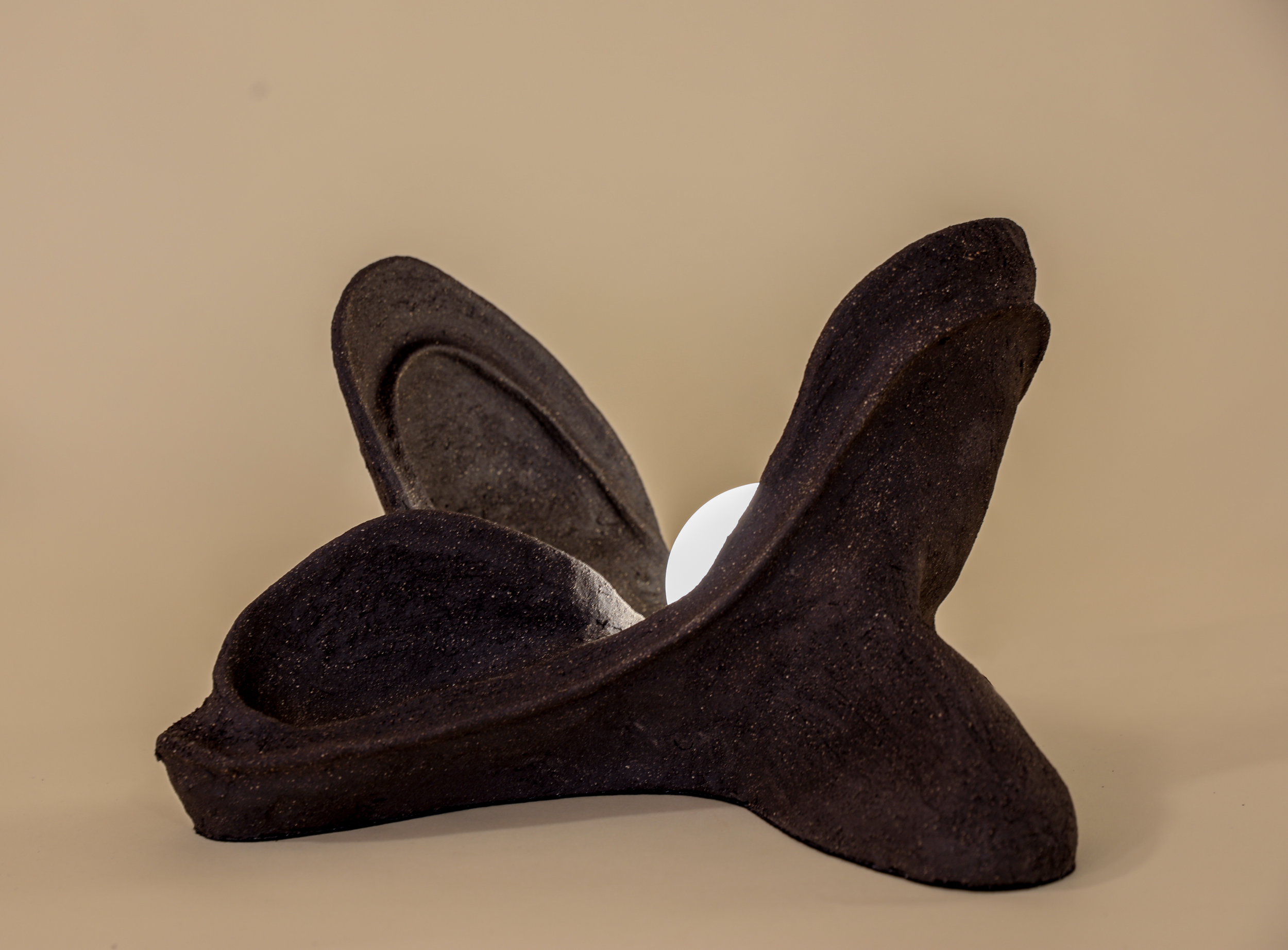 Rory Shamlian x Adamah 4.png